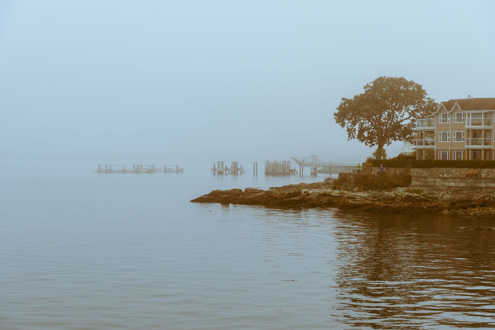 Nikon D750 sample photo. Fog, tree, house photography