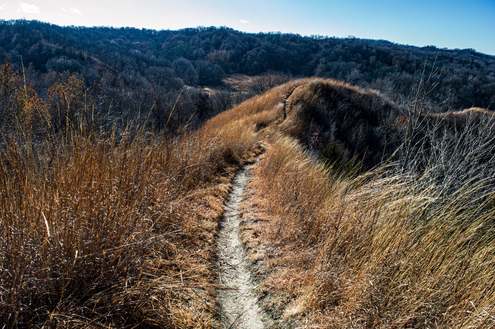 Nikon D3200 sample photo. Loess bluffs, national wildlife photography