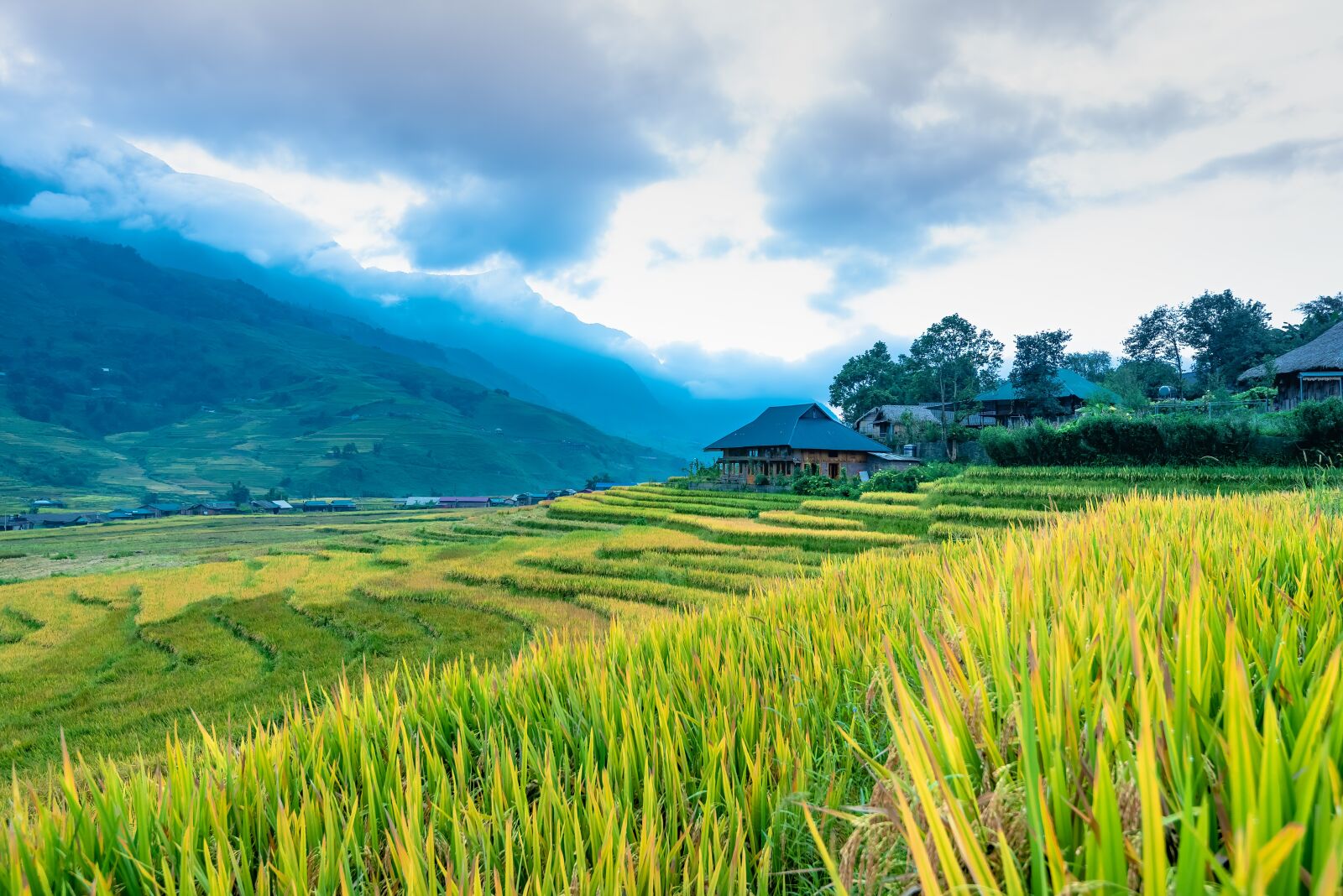 Nikon D750 sample photo. Terraces, vietnam, silk photography