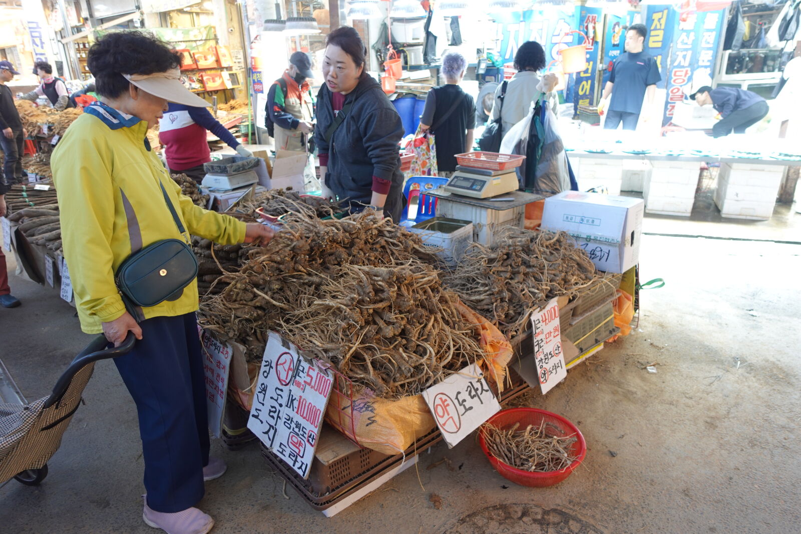 Sony ZV-1 sample photo