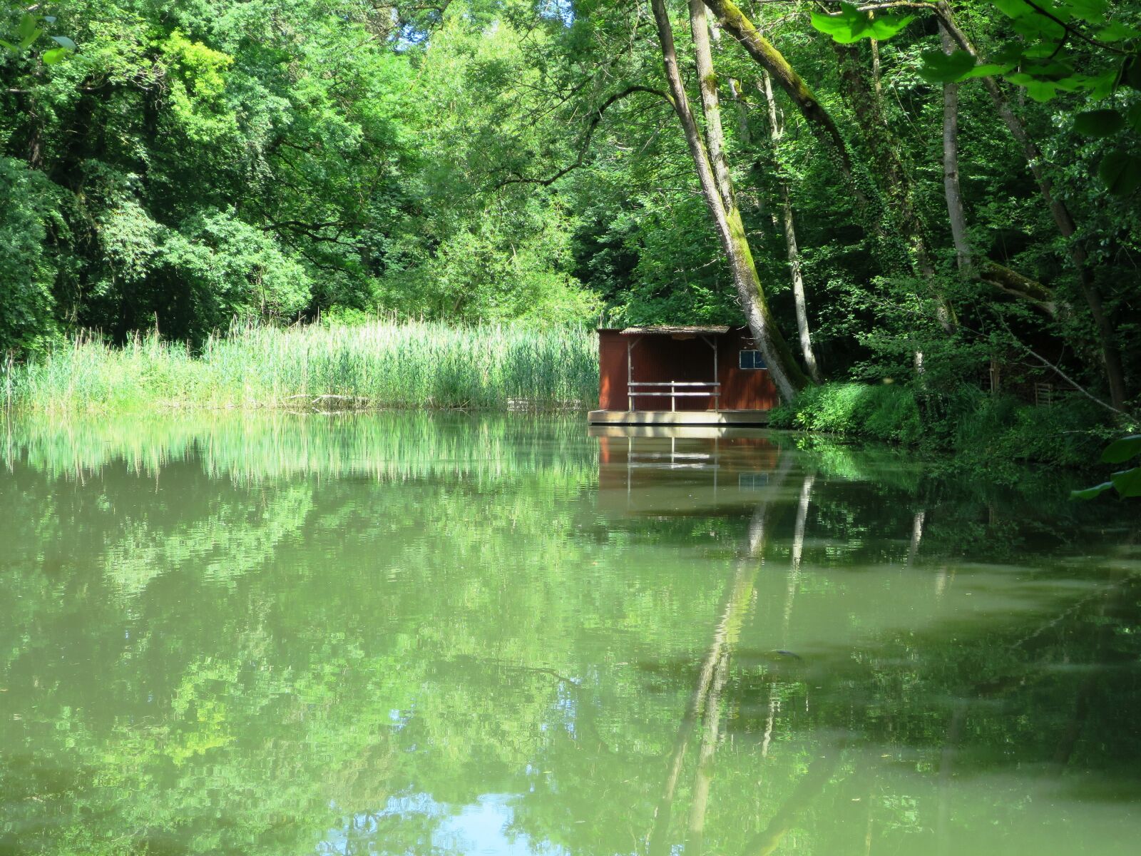 Canon PowerShot S120 sample photo. Pond, lake, bathhouse photography