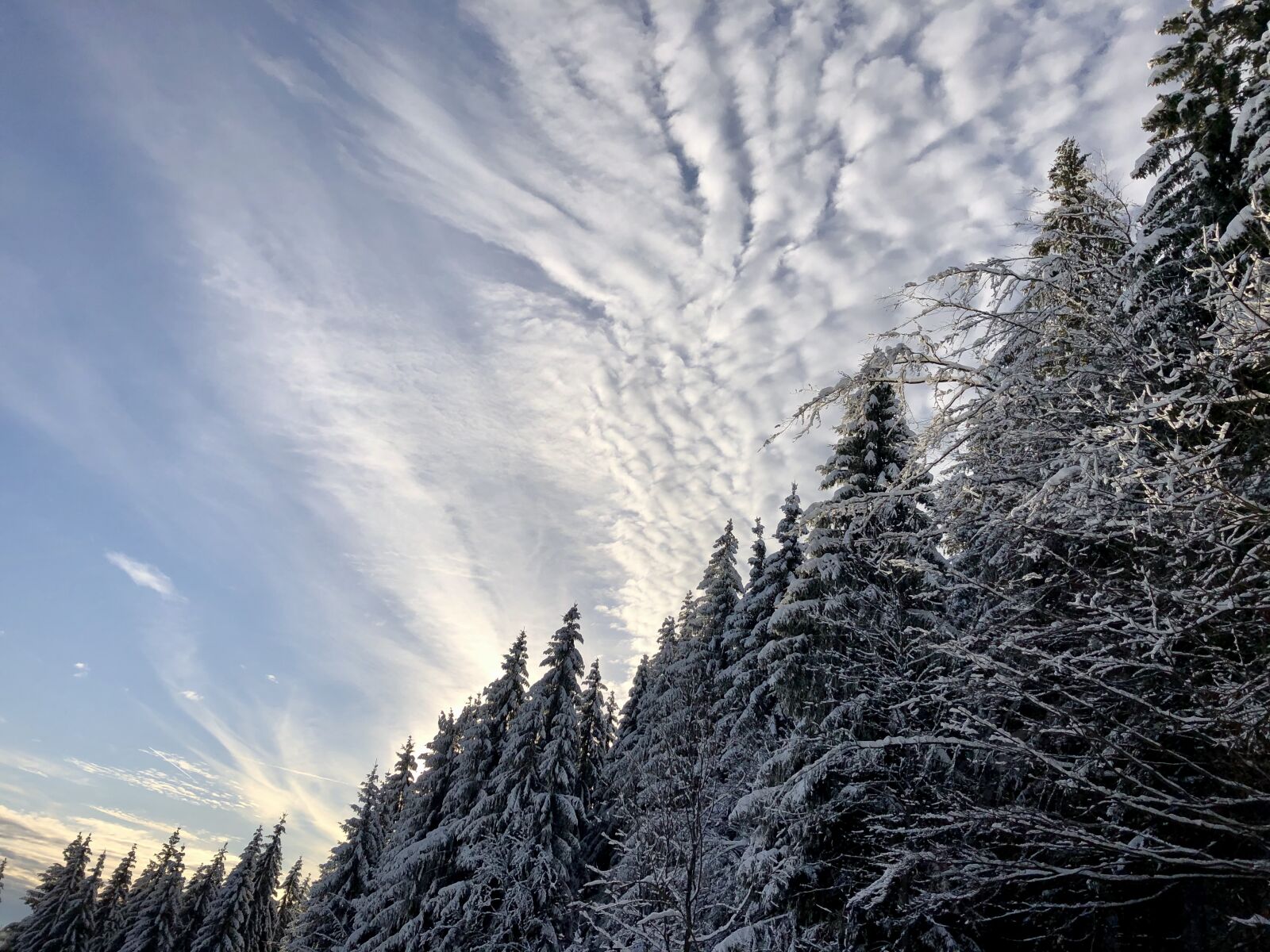 Apple iPhone 8 sample photo. Winter, sky, snow photography