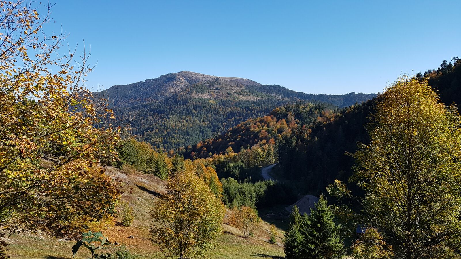 Samsung Galaxy S7 sample photo. Black forest, nature, landscape photography