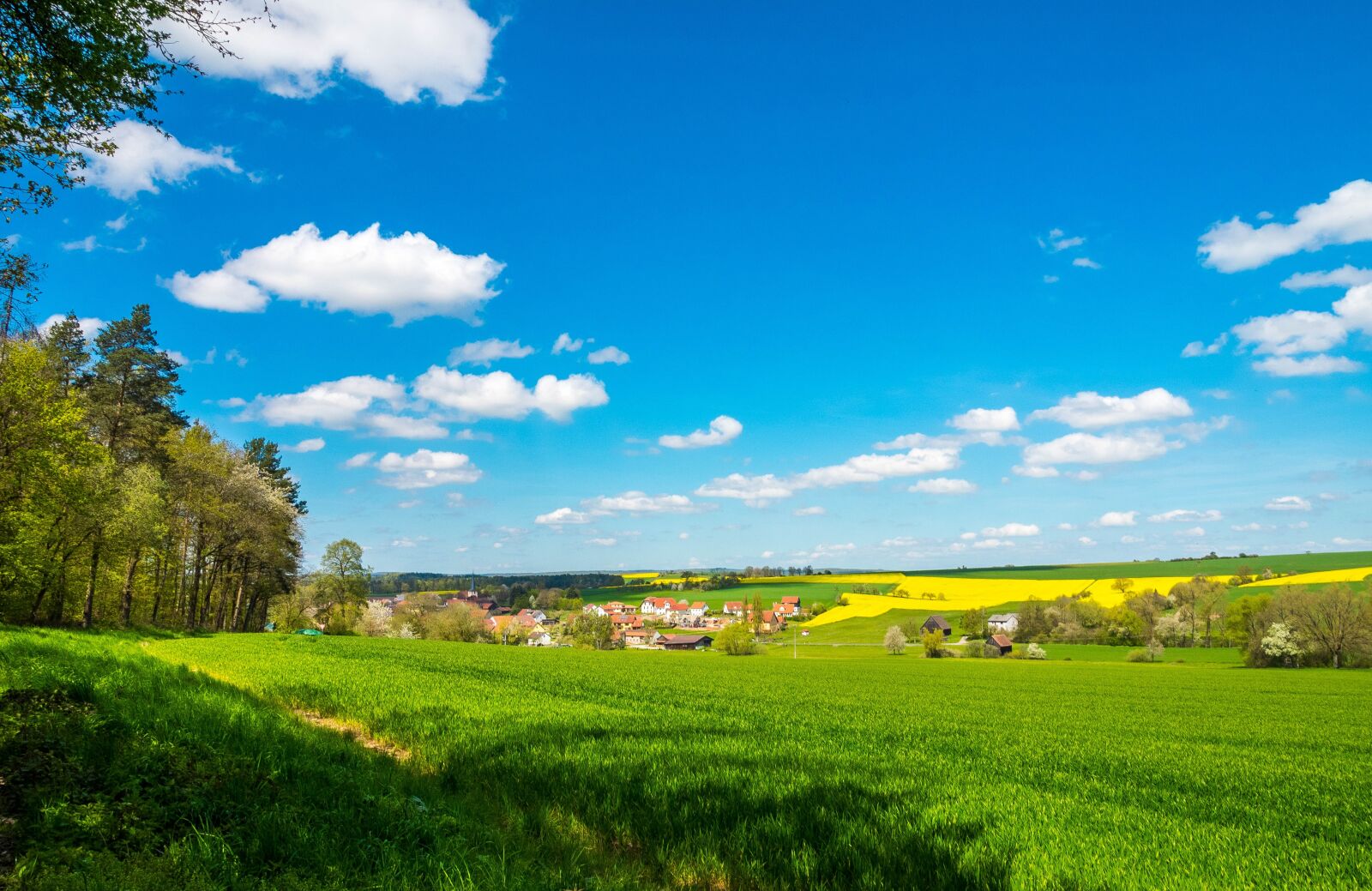 Olympus OM-D E-M1 + OLYMPUS M.12-50mm F3.5-6.3 sample photo. Spring, landscape, meadow photography