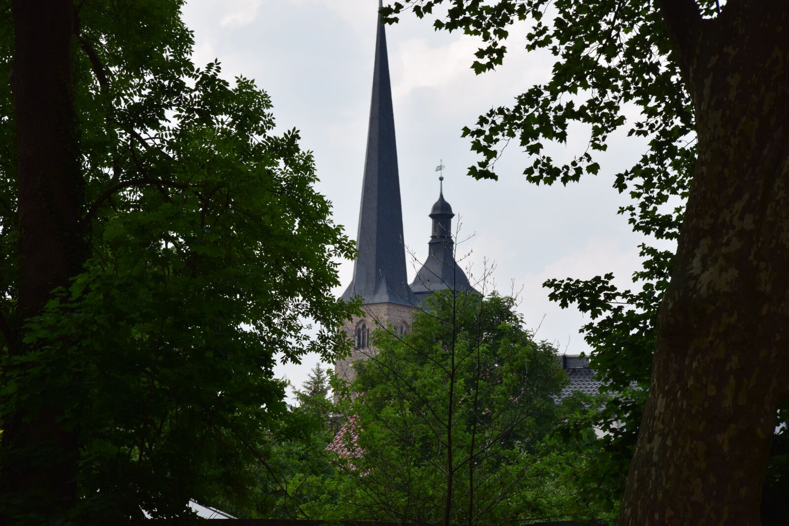 Nikon D5300 sample photo. Church, tower, trees photography