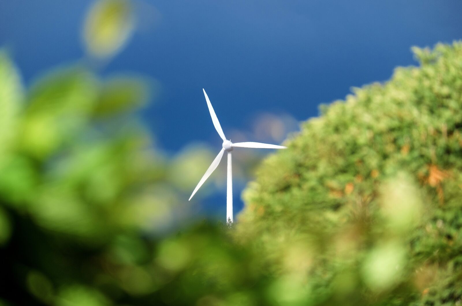 Fujifilm X-T10 + Fujifilm XC 50-230mm F4.5-6.7 OIS sample photo. Pinwheel, wind power, energy photography