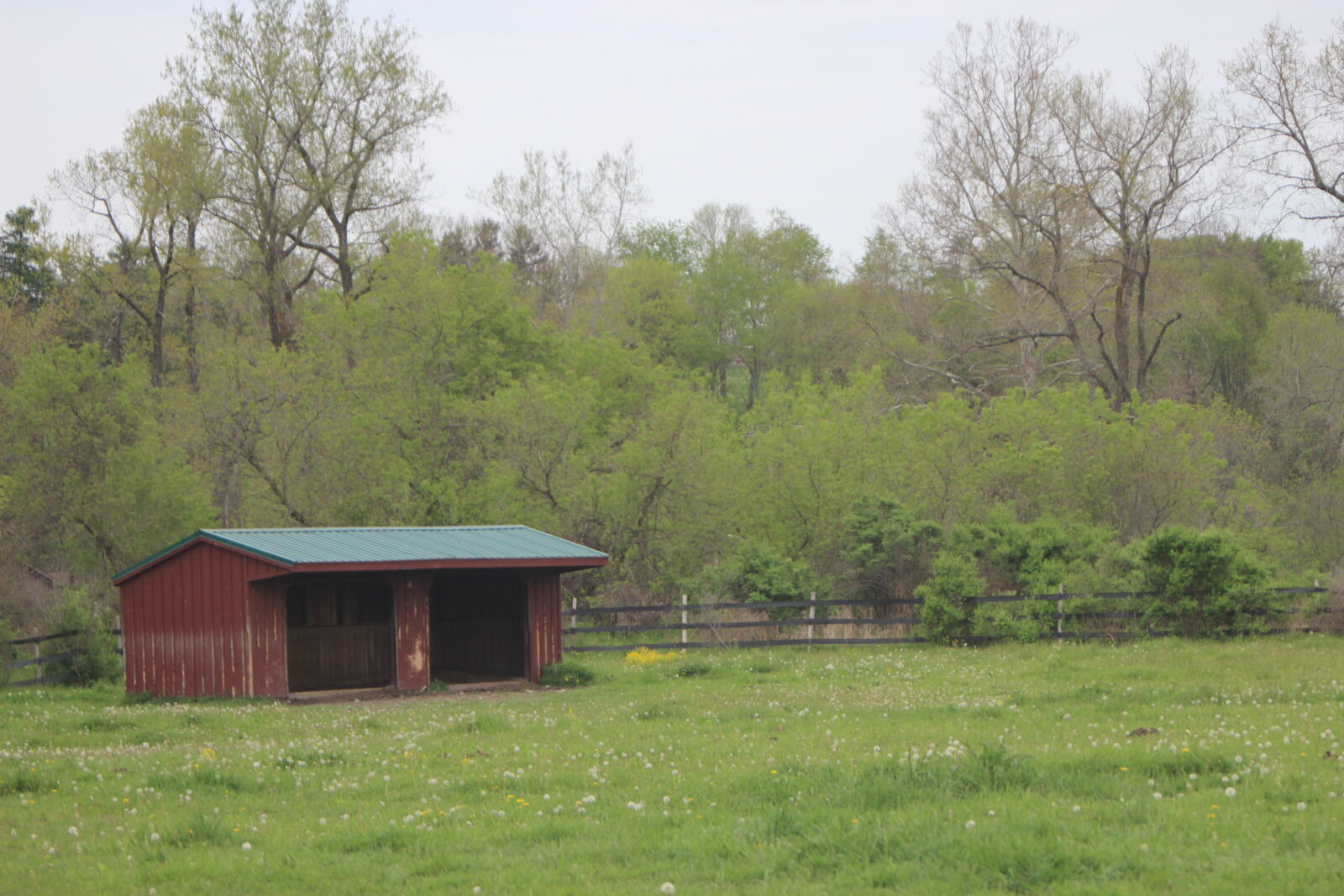Canon EOS 600D (Rebel EOS T3i / EOS Kiss X5) sample photo. Animal, barn, grass, green photography