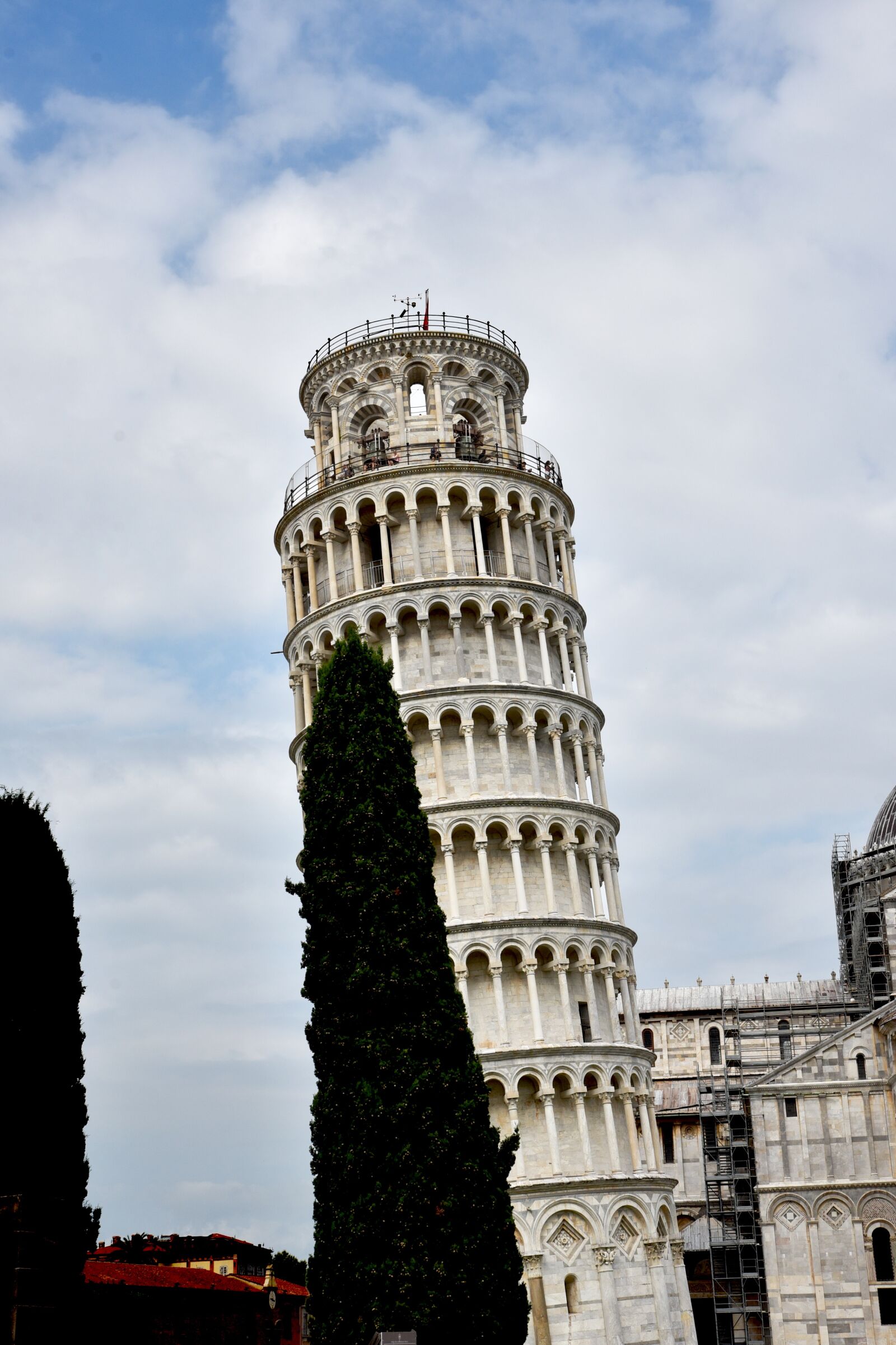 Nikon D750 sample photo. Pisa, tower, italy photography