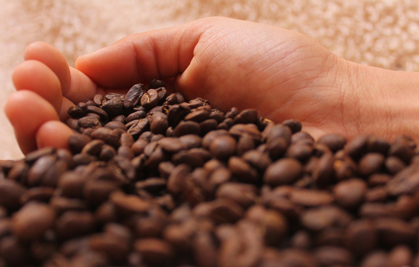 Canon EOS 60D sample photo. Coffee, coffe, drink photography