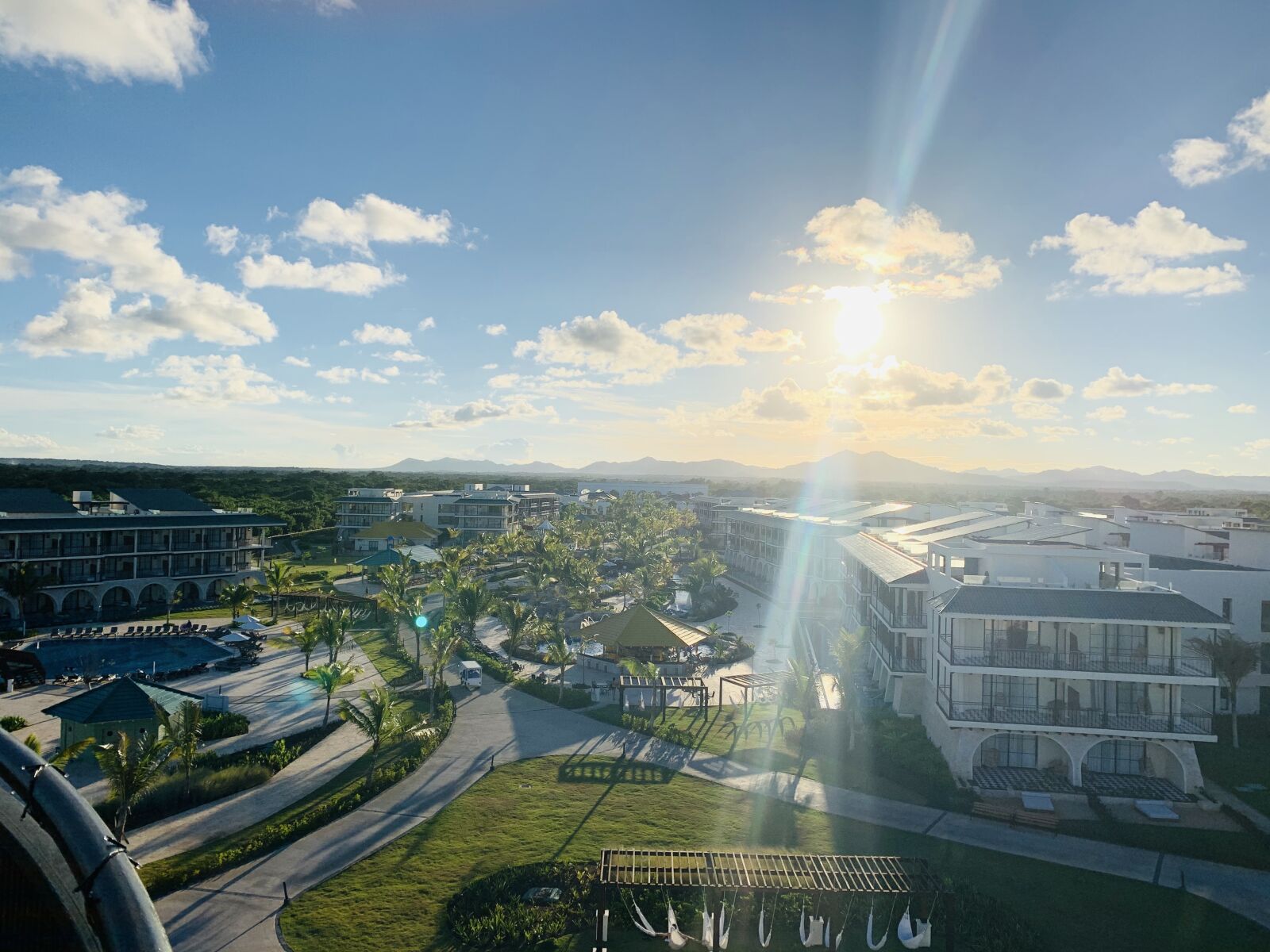 Apple iPhone XR sample photo. Sun, green, city photography