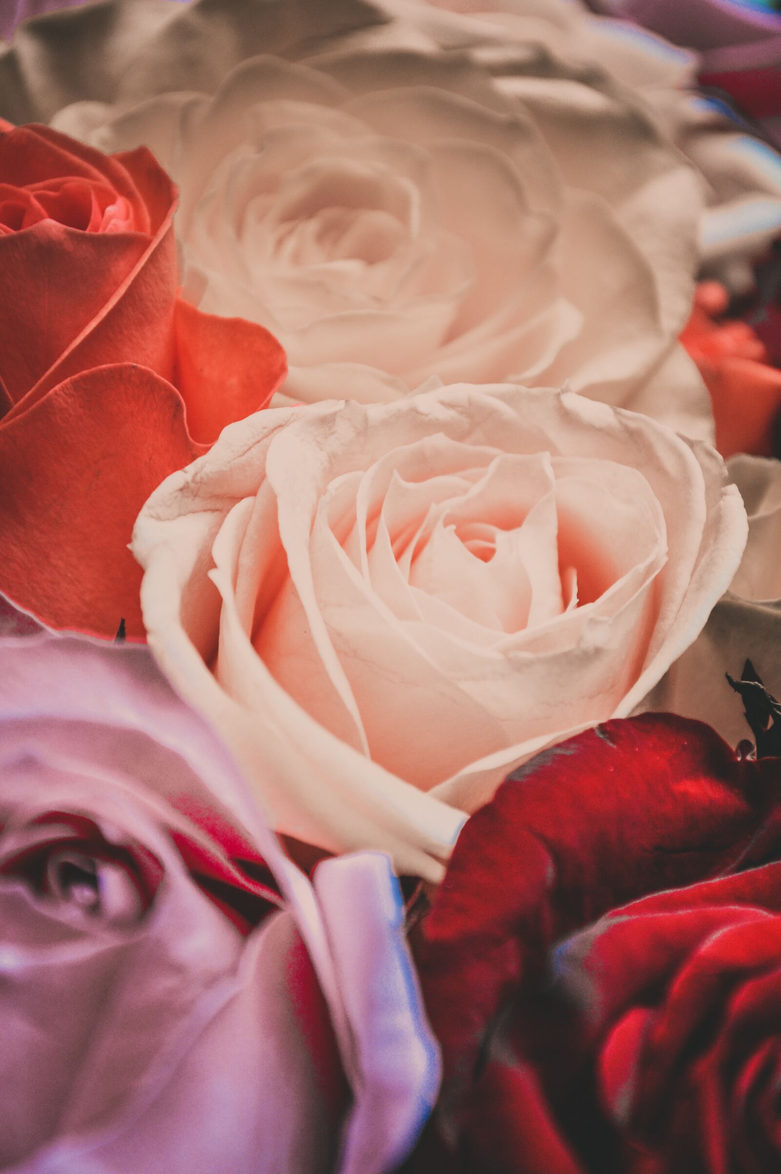 Nikon D3200 sample photo. International women's day, march photography
