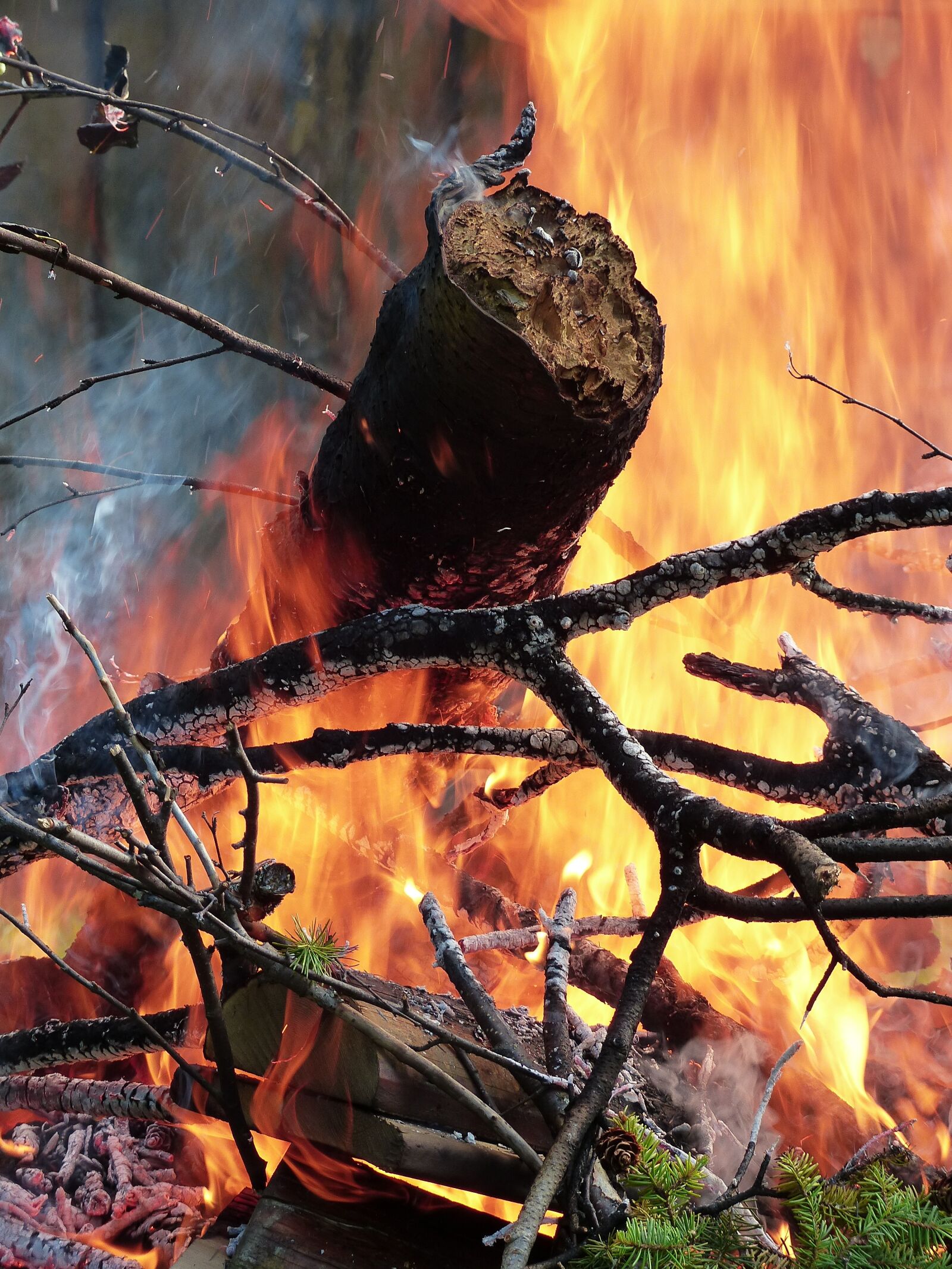 Panasonic Lumix DMC-FZ200 sample photo. Fire, flames, wood photography