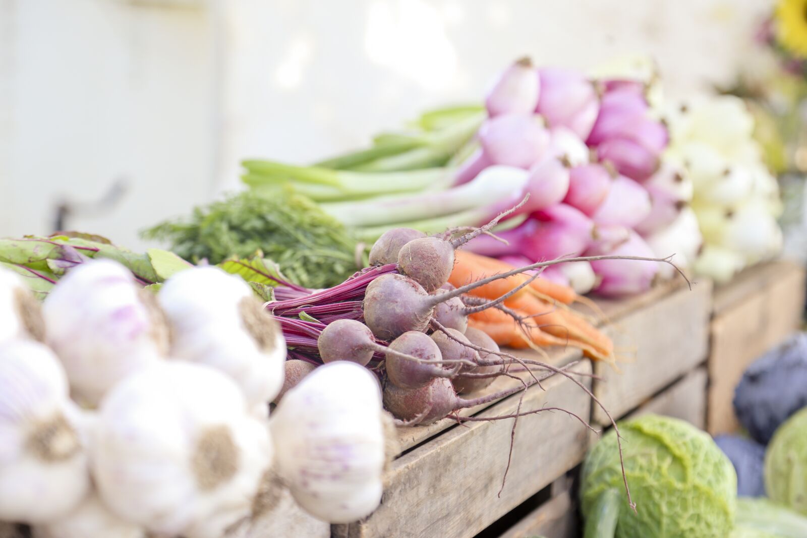 Canon EOS 6D sample photo. Vegetables, veggies, farmers market photography