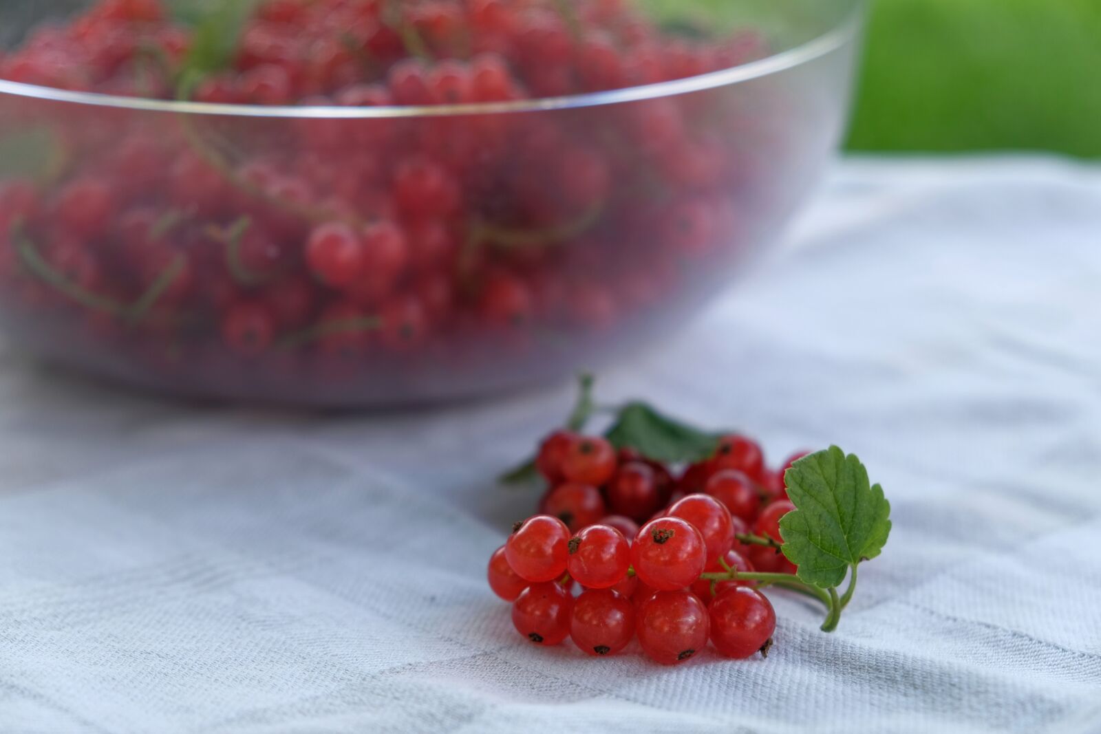 Fujifilm XF 18-55mm F2.8-4 R LM OIS sample photo. Fruit, currants, traeuble photography
