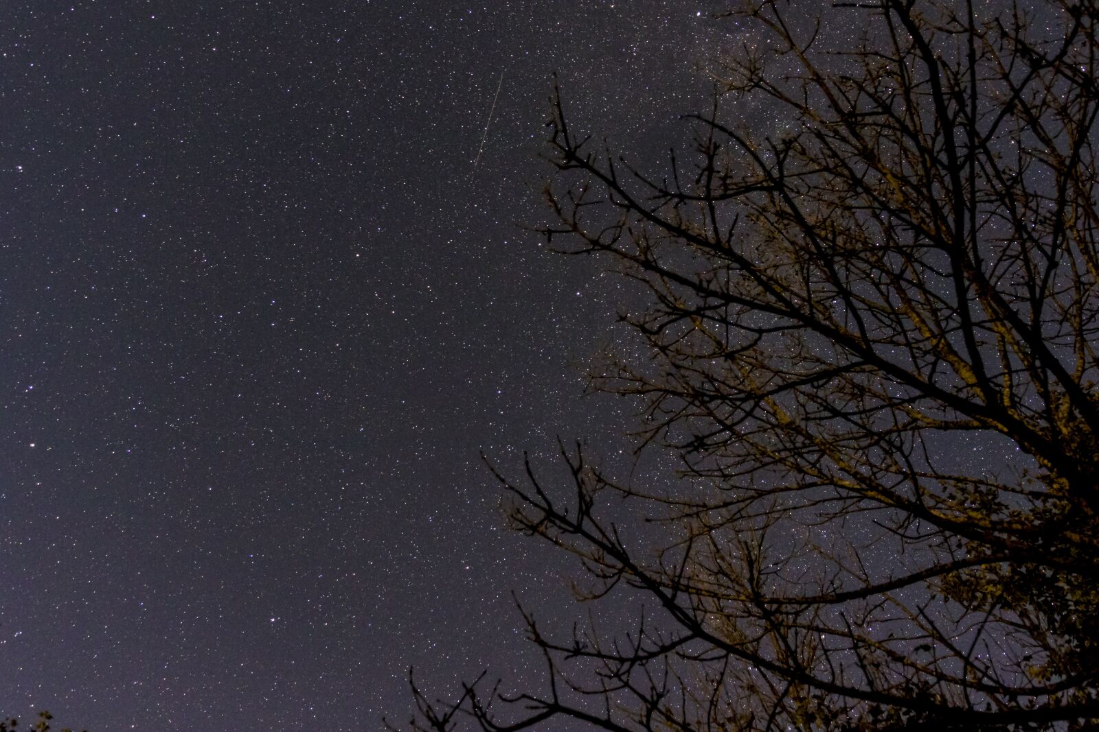Canon EOS 7D Mark II sample photo. Night, starry sky, star photography