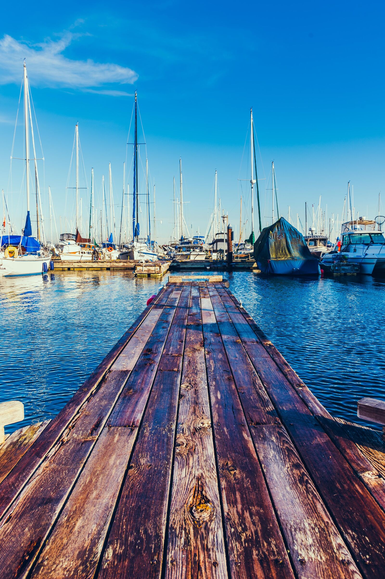 Nikon D750 sample photo. Marina, boats, empty photography