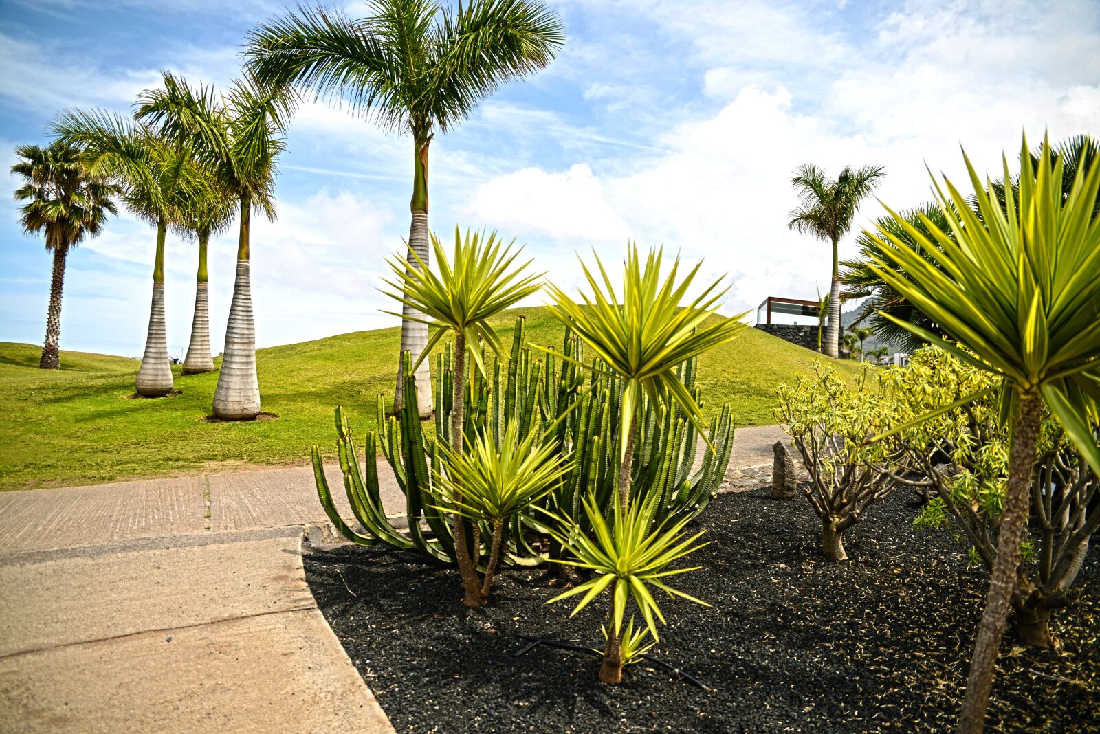 Nikon D800 sample photo. Tenerife, canary islands, landscapes photography
