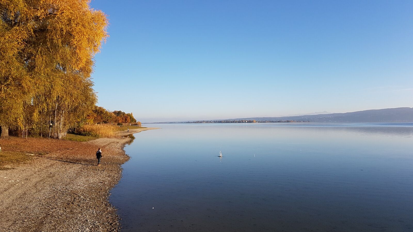 Samsung Galaxy S7 sample photo. Lake constance, water, bank photography