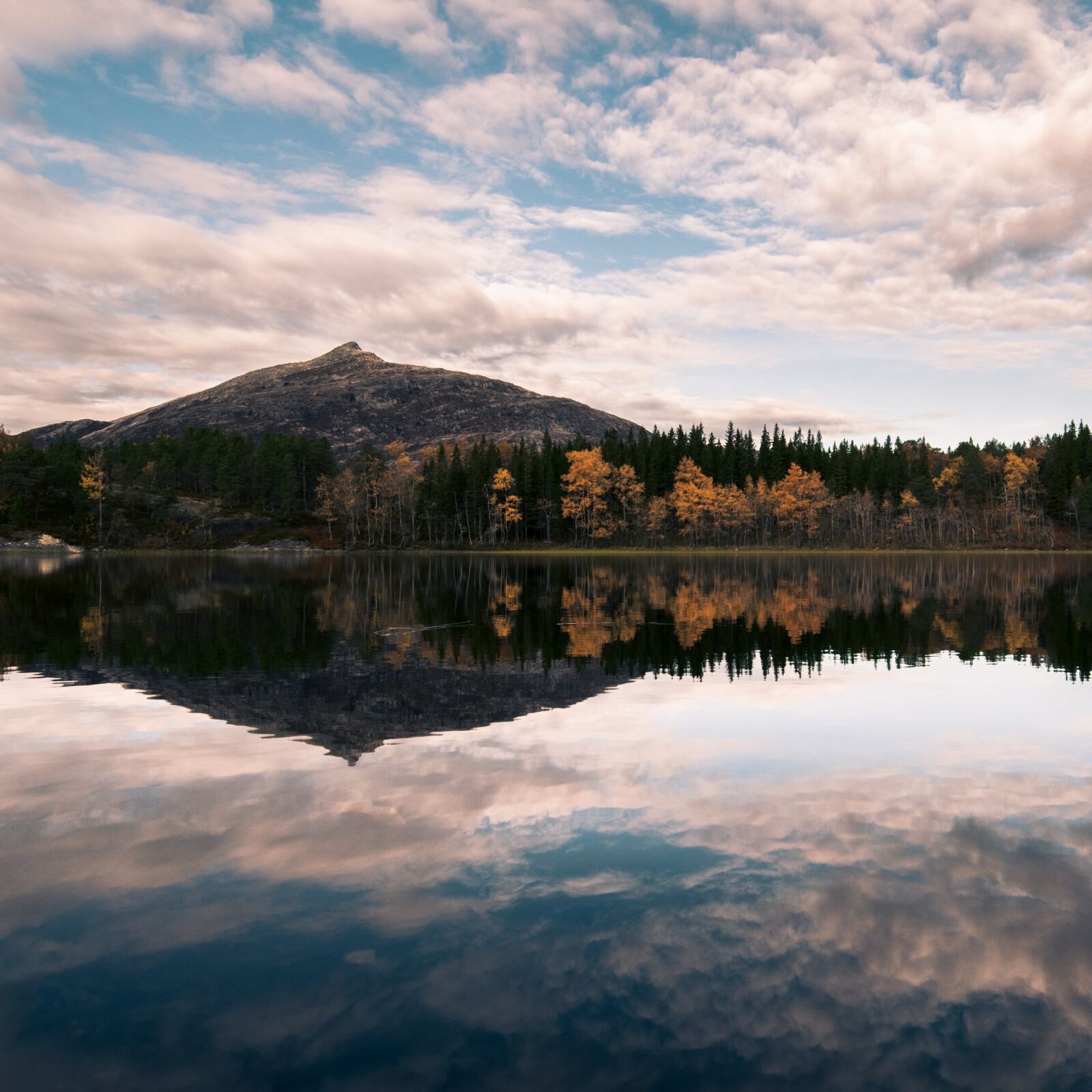 Nikon D5300 sample photo. Reflection, autumn, water photography
