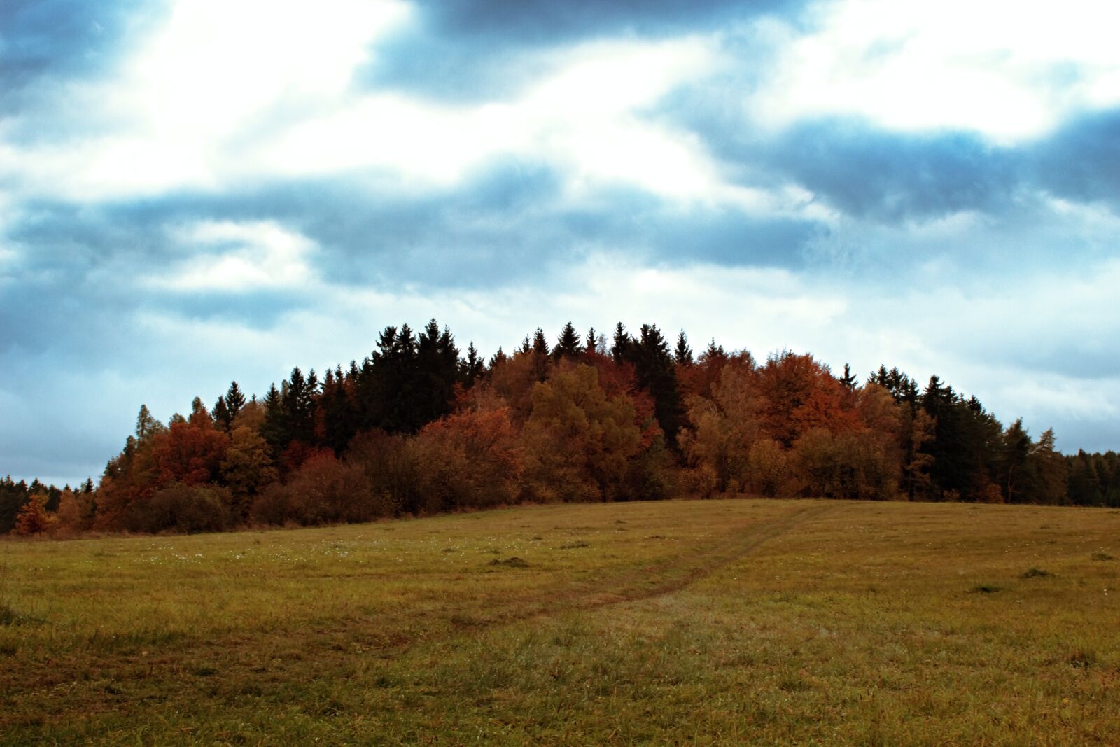 Canon EF 28-80mm f/3.5-5.6 sample photo. Autumn, blue, colours, field photography