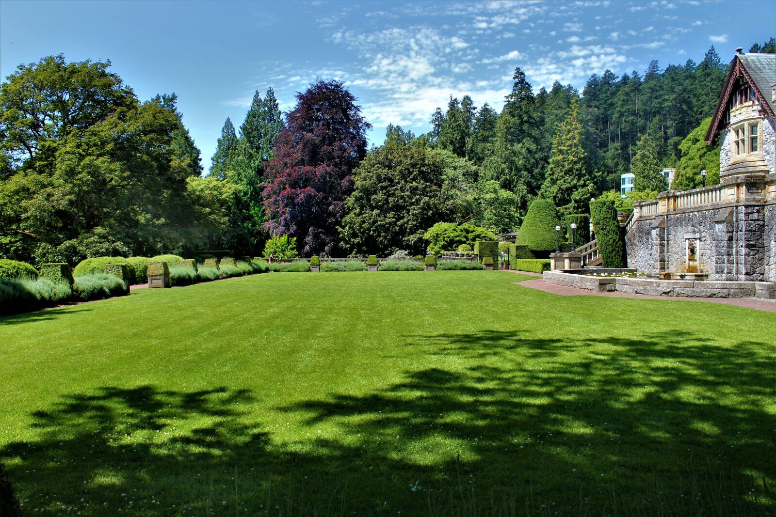Canon EOS 1300D (EOS Rebel T6 / EOS Kiss X80) sample photo. Garden, beautiful, hadley mansion photography