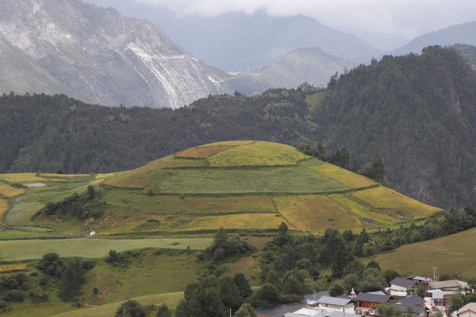 Canon EOS 77D (EOS 9000D / EOS 770D) + Canon EF-S 18-135mm F3.5-5.6 IS USM sample photo. Yunnan province, alpine, fields photography