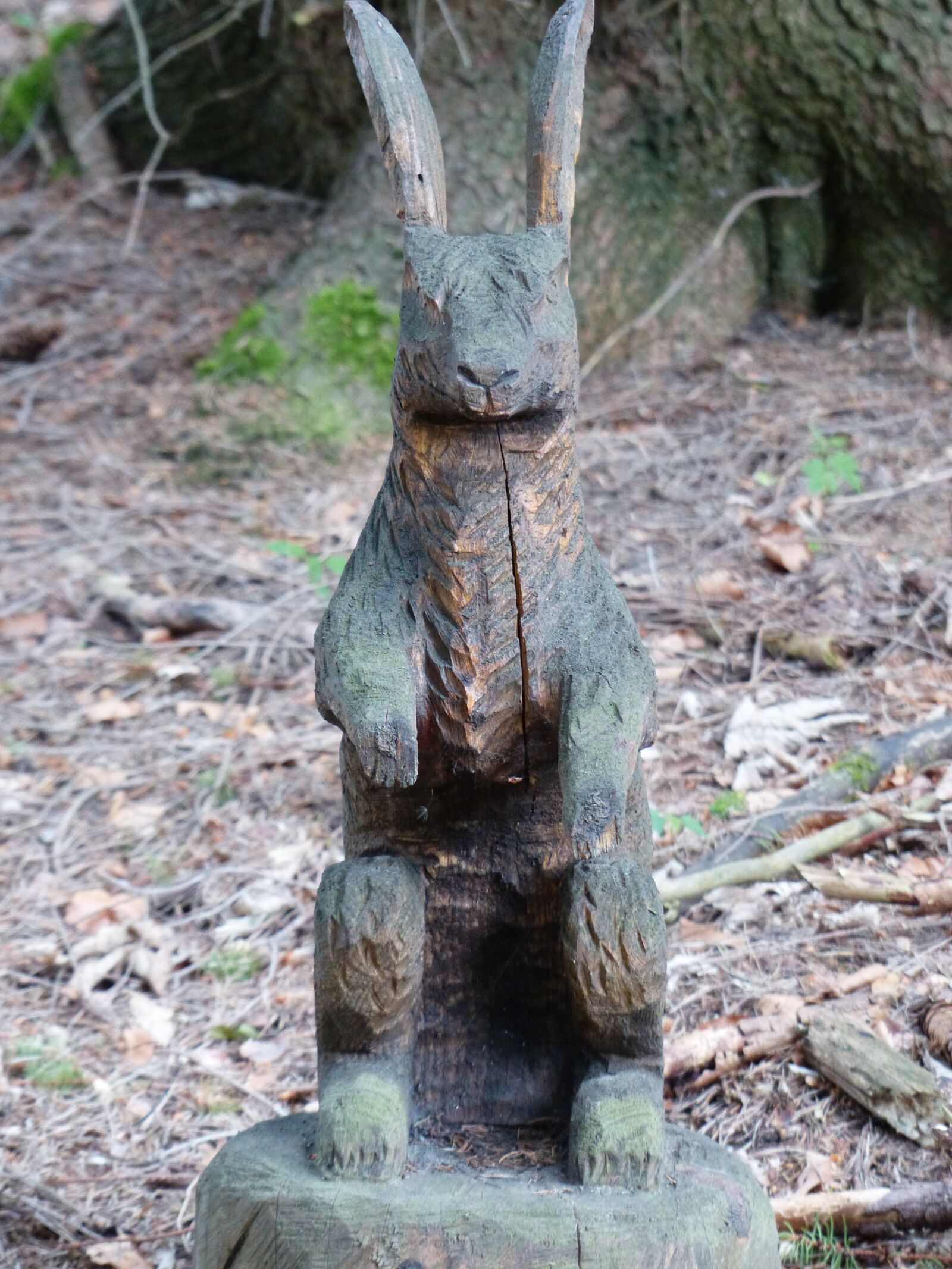 Panasonic Lumix DMC-FZ200 sample photo. Hare, wood, carving photography