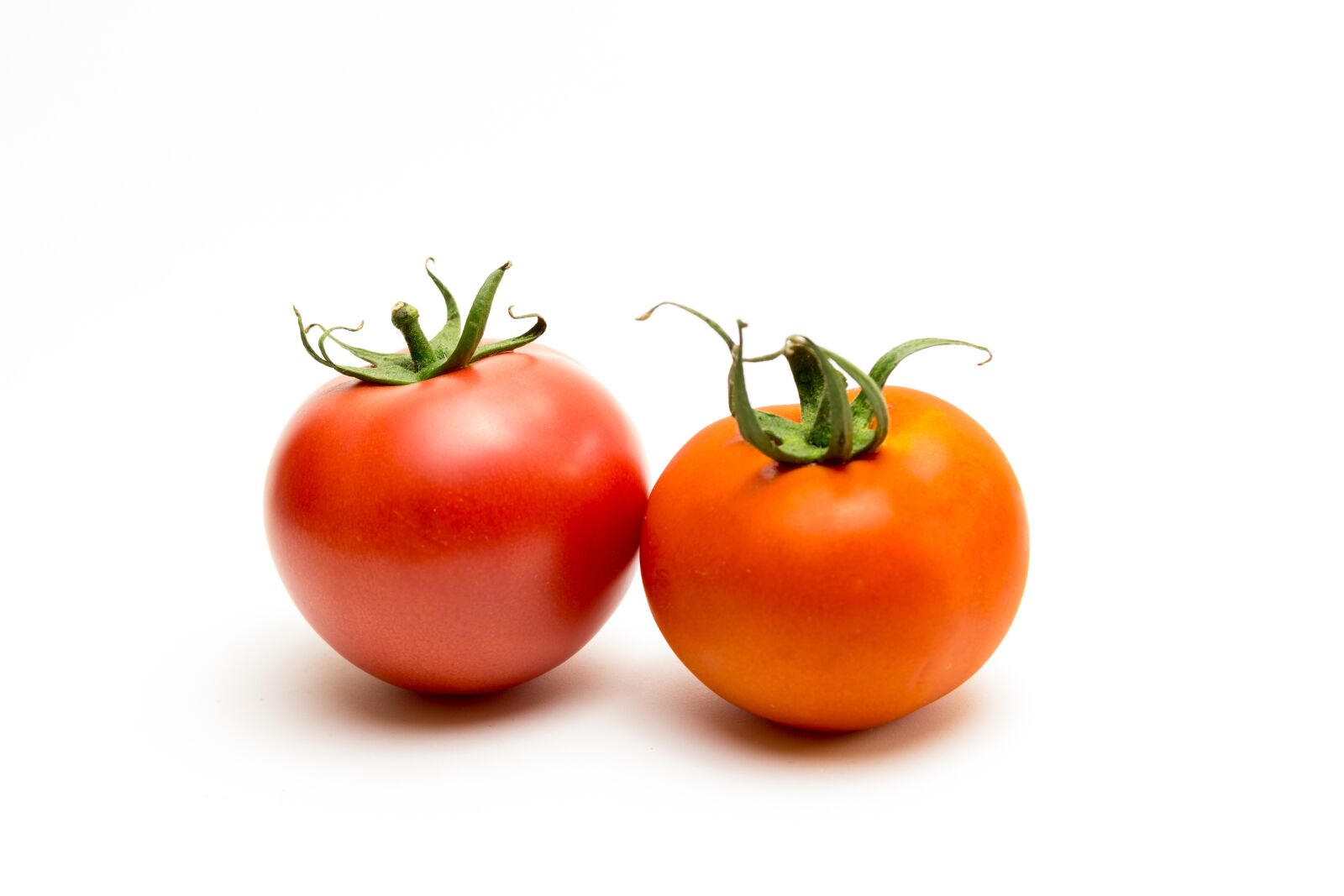 Canon EF-S 60mm F2.8 Macro USM sample photo. Tomato, red, rosa photography