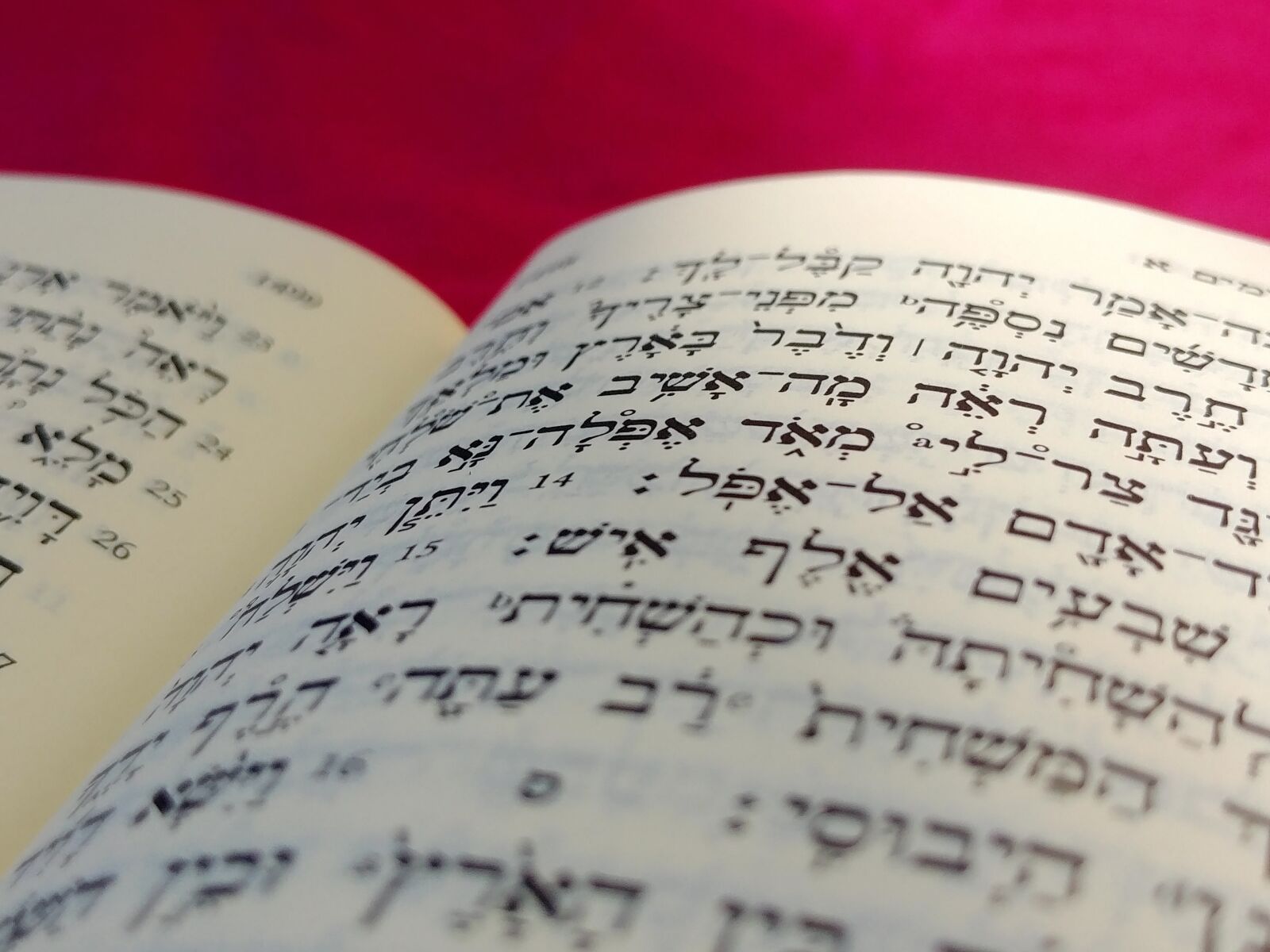 LG G6 sample photo. Hebrew, languages, bible photography