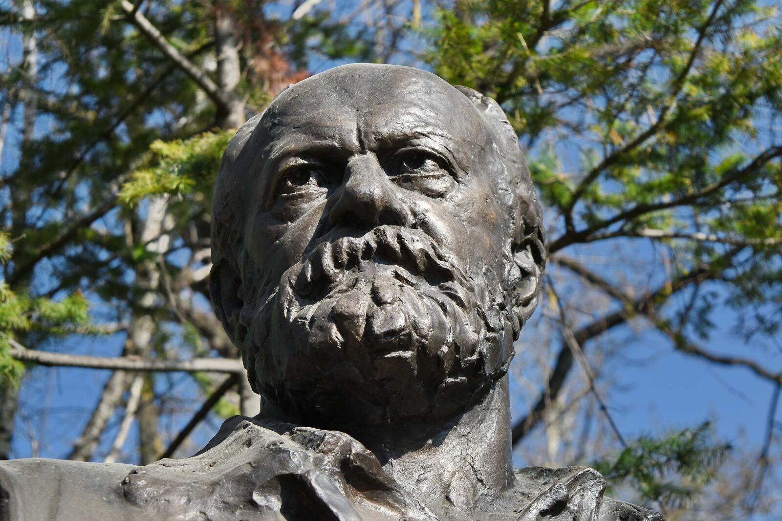Nikon D5500 sample photo. Art, bronze, face, person photography