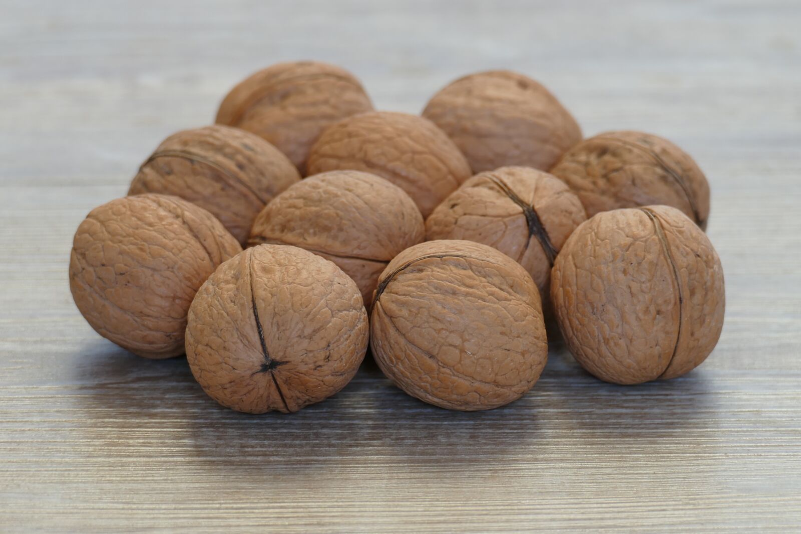 Panasonic Lumix DMC-FZ1000 sample photo. Walnuts in shell, variety photography
