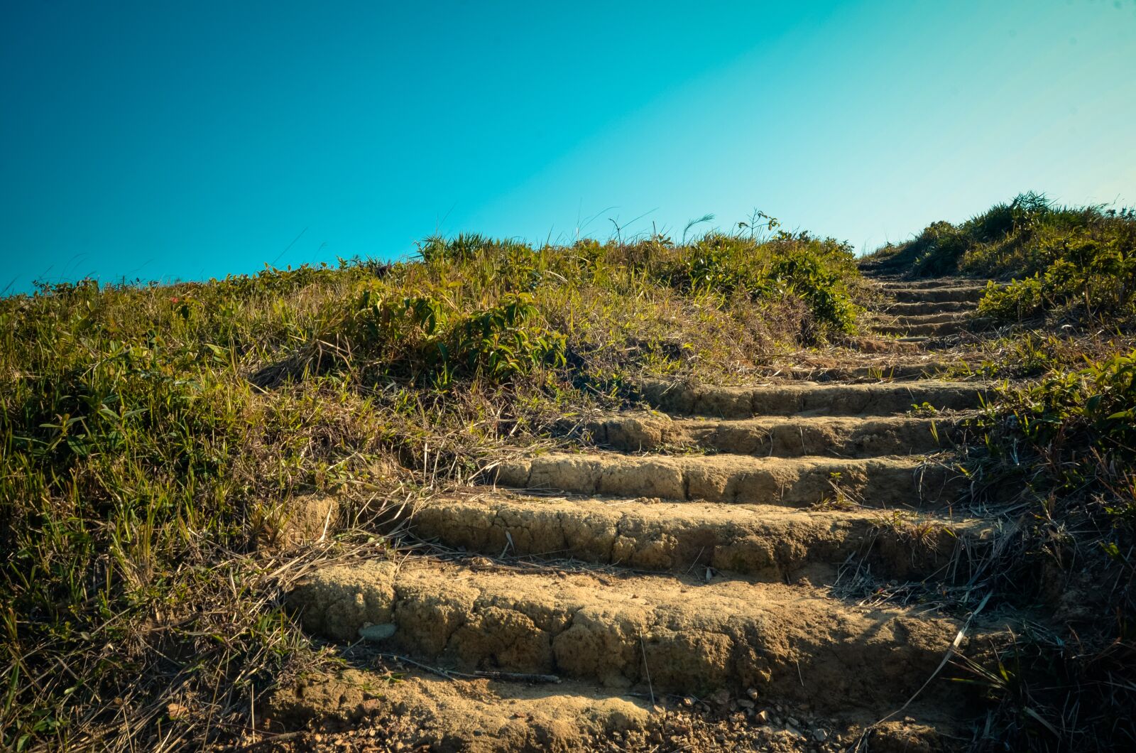 Nikon D7000 sample photo. Step, heaven, green photography