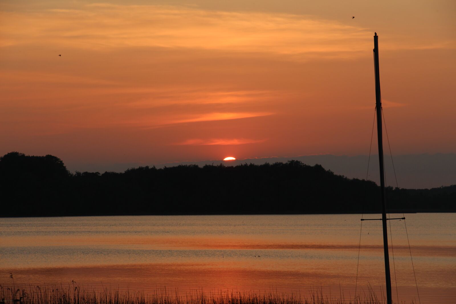 Canon EOS 700D (EOS Rebel T5i / EOS Kiss X7i) sample photo. Sun, nature, sunset photography