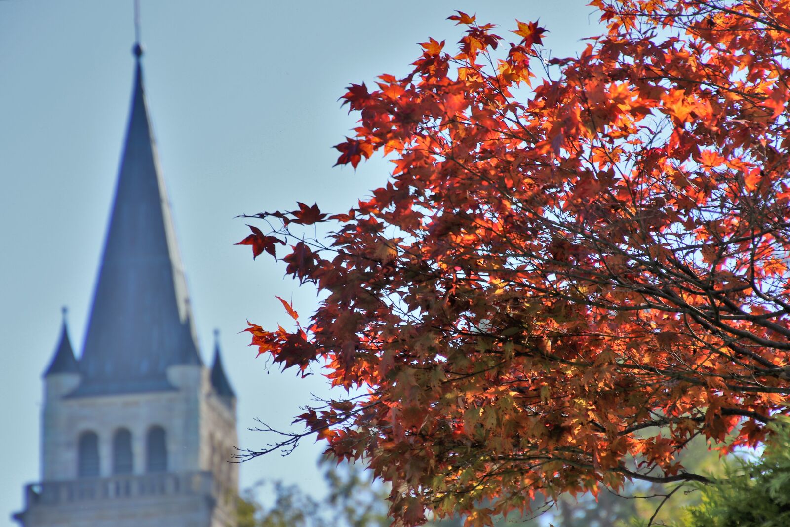 Canon EOS 80D sample photo. Church, foliage, in the photography