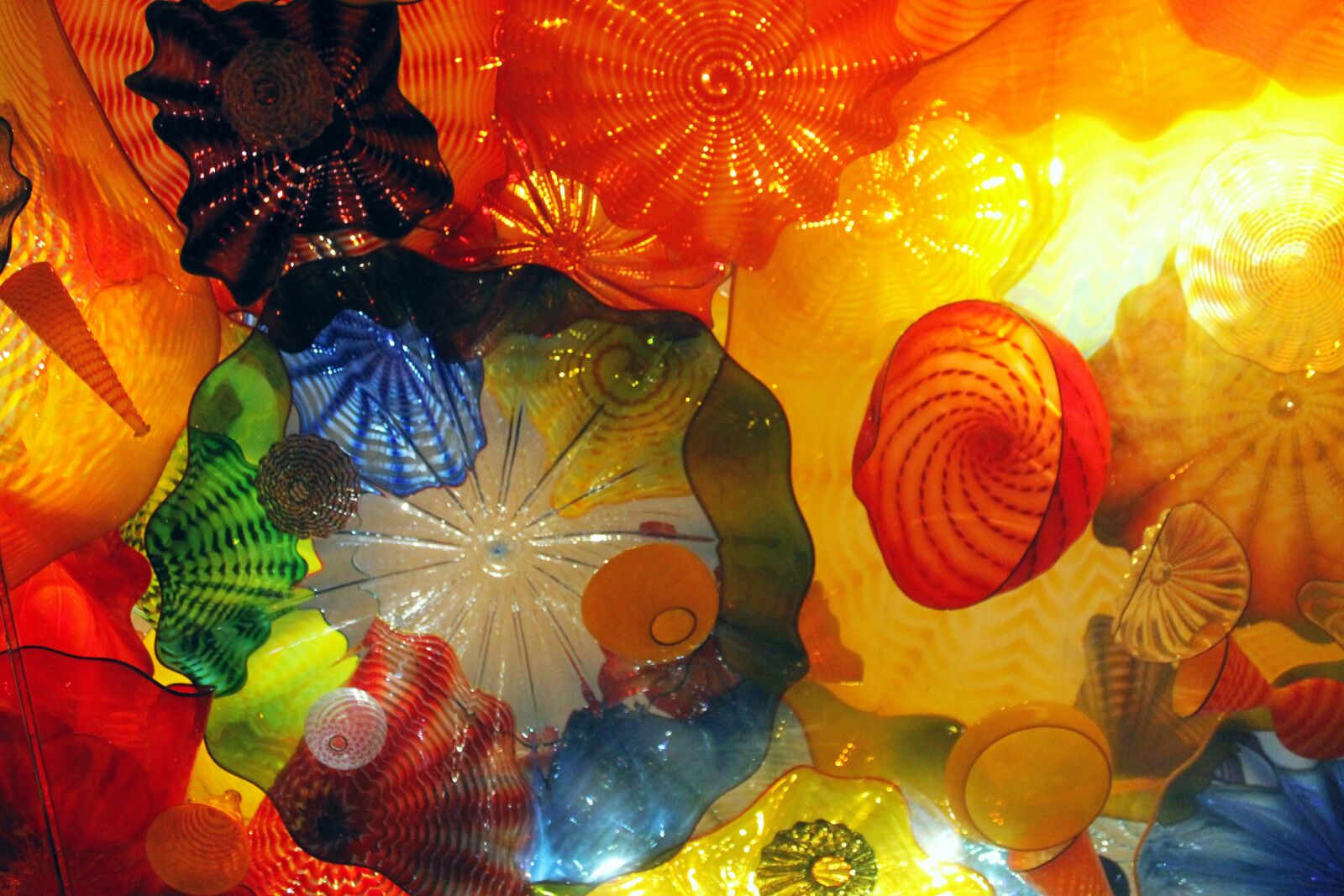 Canon EOS 1100D (EOS Rebel T3 / EOS Kiss X50) sample photo. Chihuly, glass, art photography