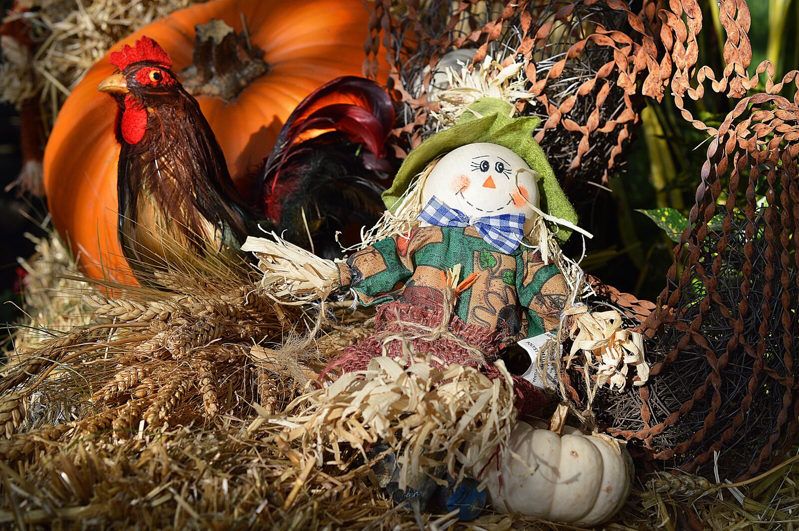 Nikon D3200 sample photo. Scarecrow, rooster, hay photography