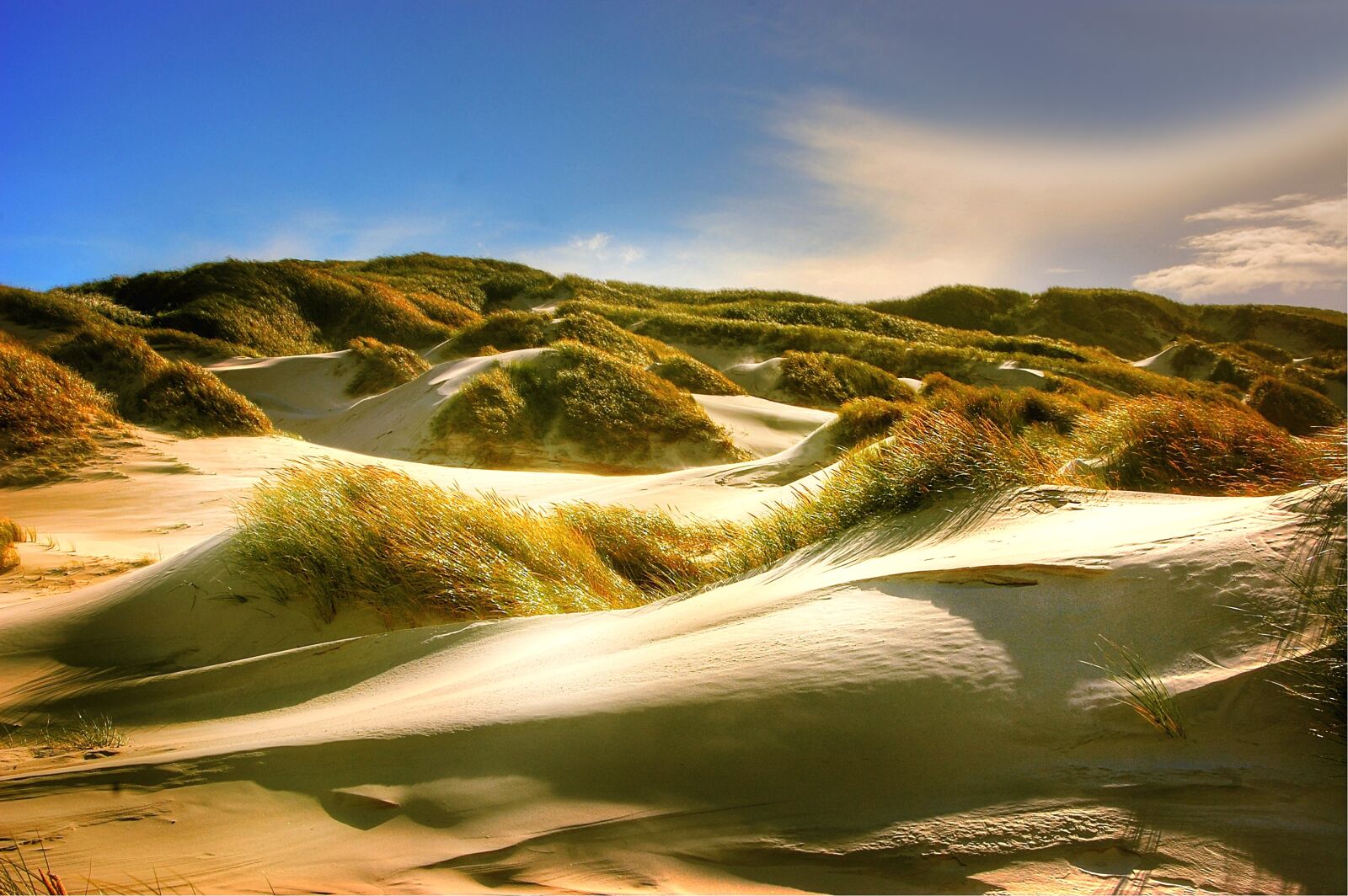 Nikon D40 sample photo. Dunes, north sea, beach photography