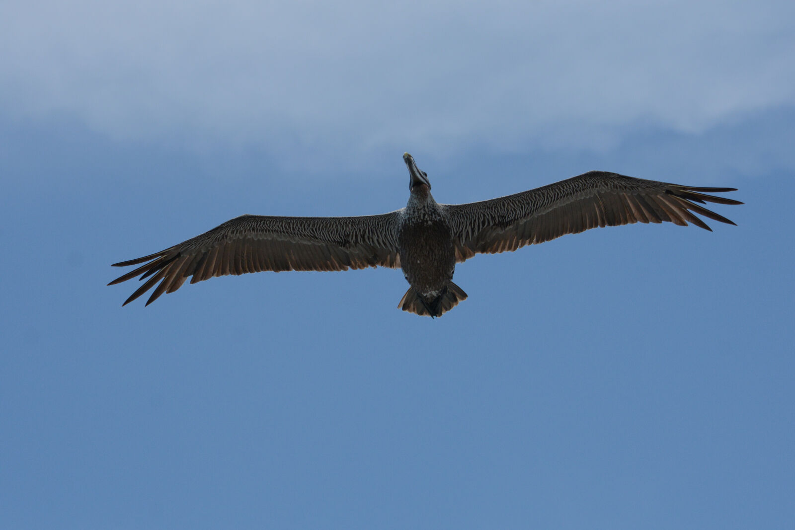 Nikon D7100 sample photo