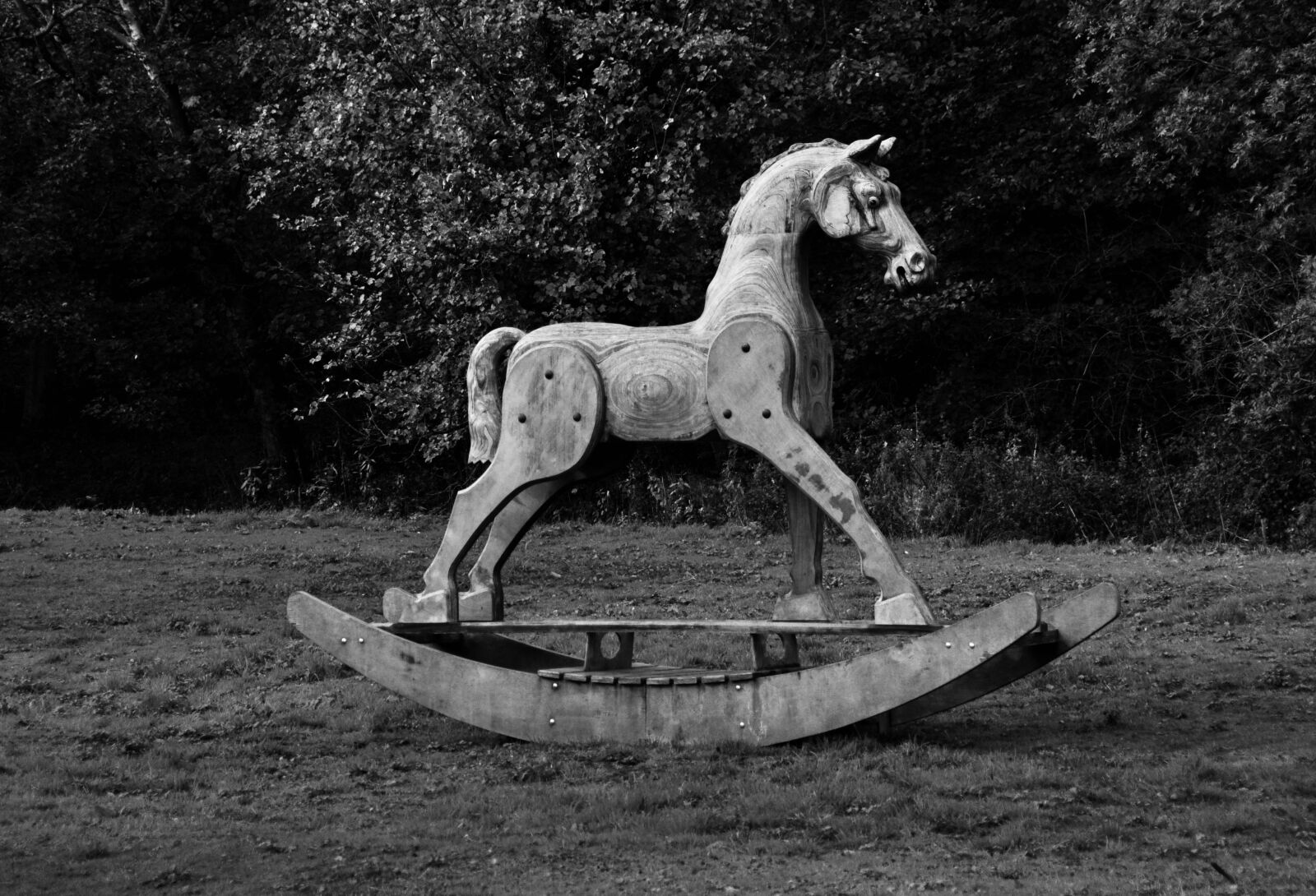 Nikon D5000 sample photo. Wooden rocking horse, sculpture photography