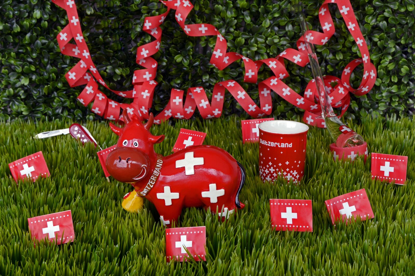 Nikon D7100 sample photo. National day, switzerland, celebrate photography