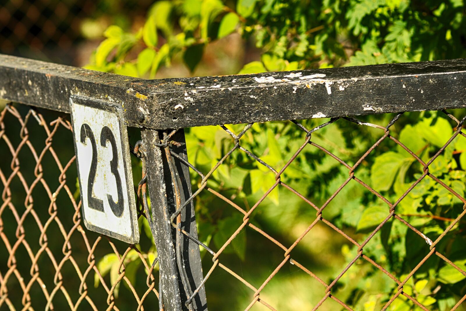 Canon EOS 7D Mark II + Canon EF 135mm F2L USM sample photo. Fence, nature, garden photography