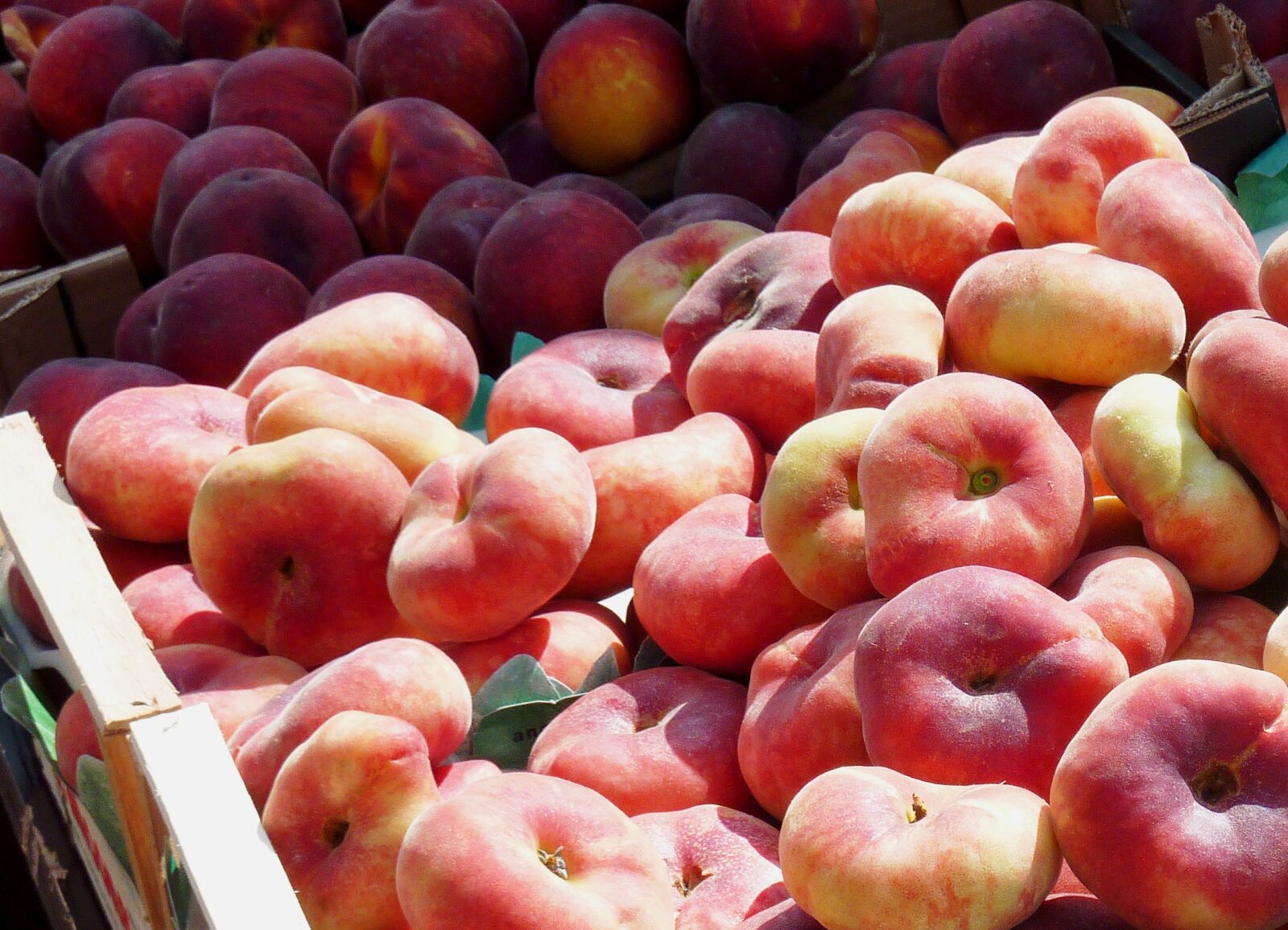 Panasonic DMC-TZ7 sample photo. Peach, vineyard peach, fruit photography