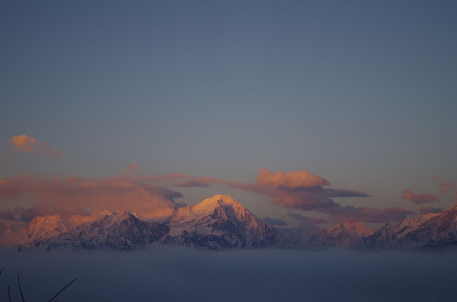 Pentax K-50 sample photo. Gongga snow mountain, bull photography