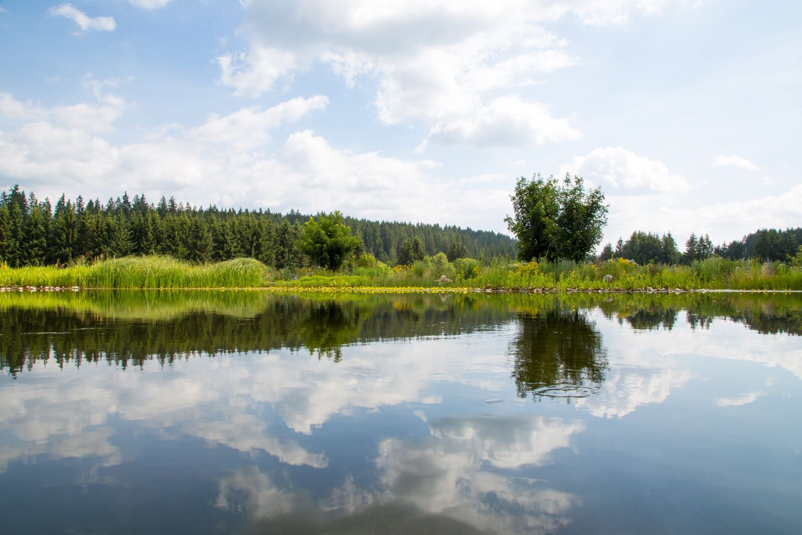Canon EOS 6D + Canon EF 24-105mm F4L IS USM sample photo. Nature, lake, landscape photography