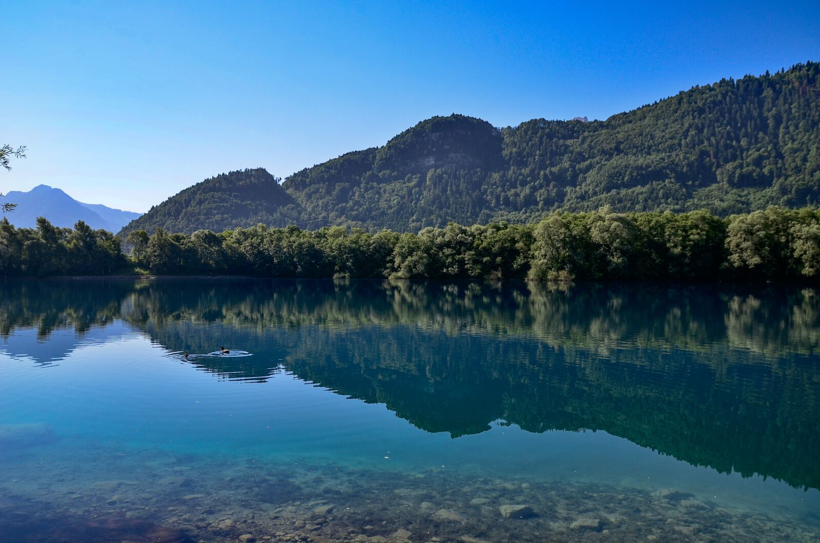 Nikon D7000 sample photo. Water, mirroring, nature photography