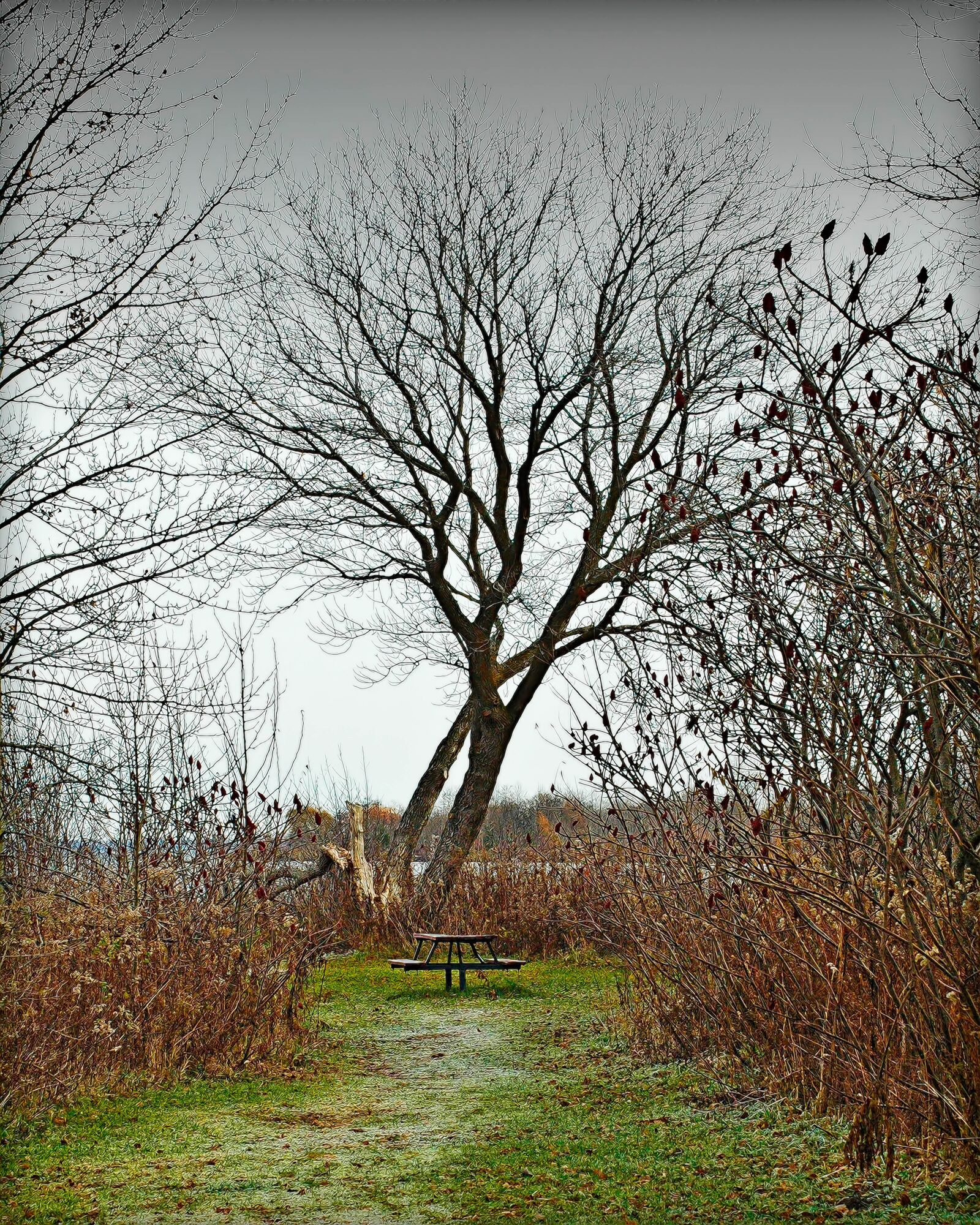 Nikon D70 sample photo. Midland ontario, fall scenery photography