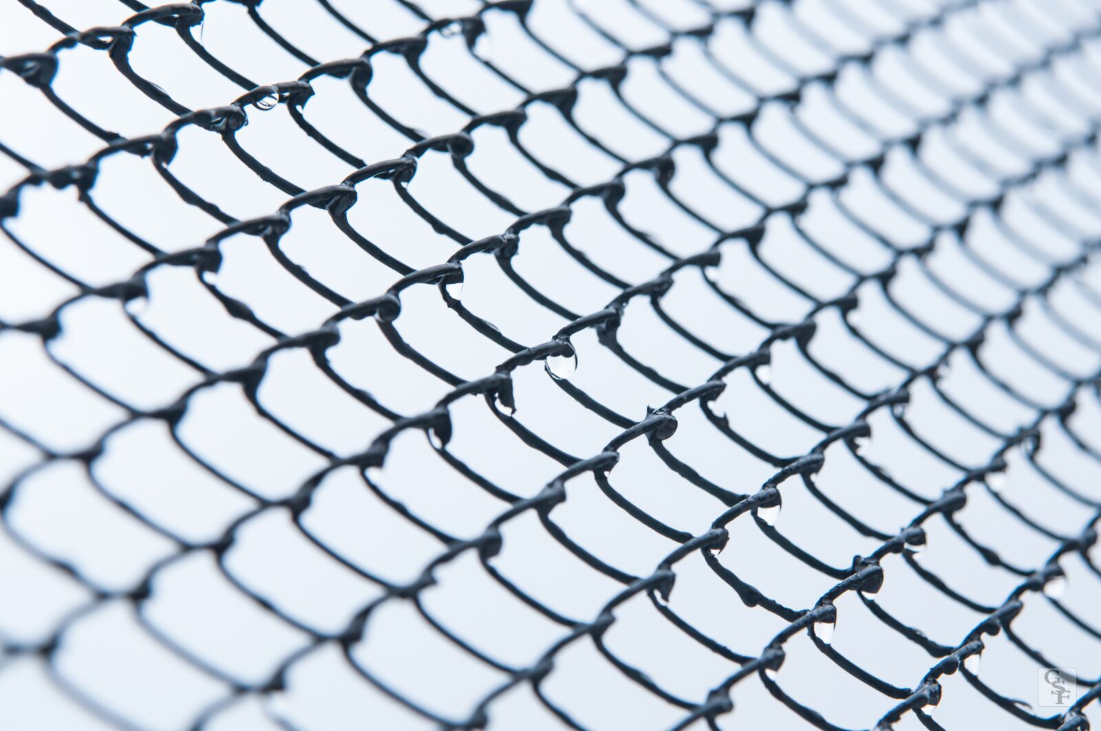 Nikon D300S sample photo. Template, background, web photography