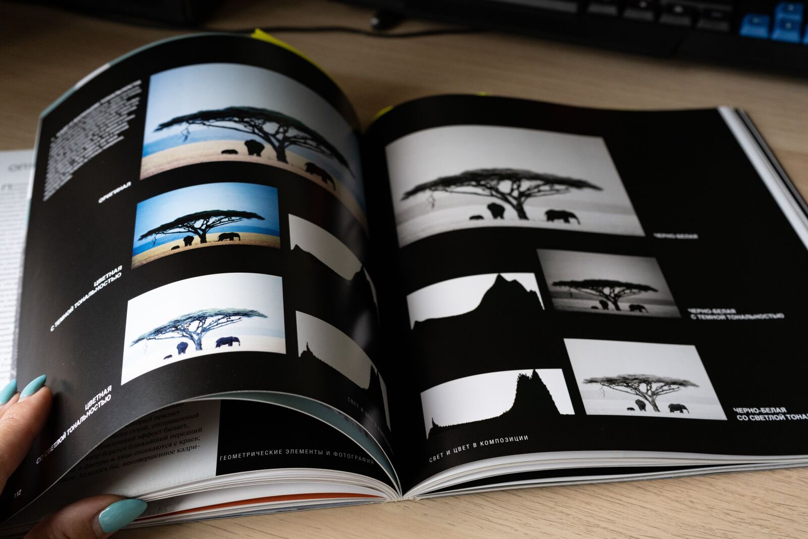 Sony a7 III + Sony FE 28-70mm F3.5-5.6 OSS sample photo. Book, photography, photography book photography