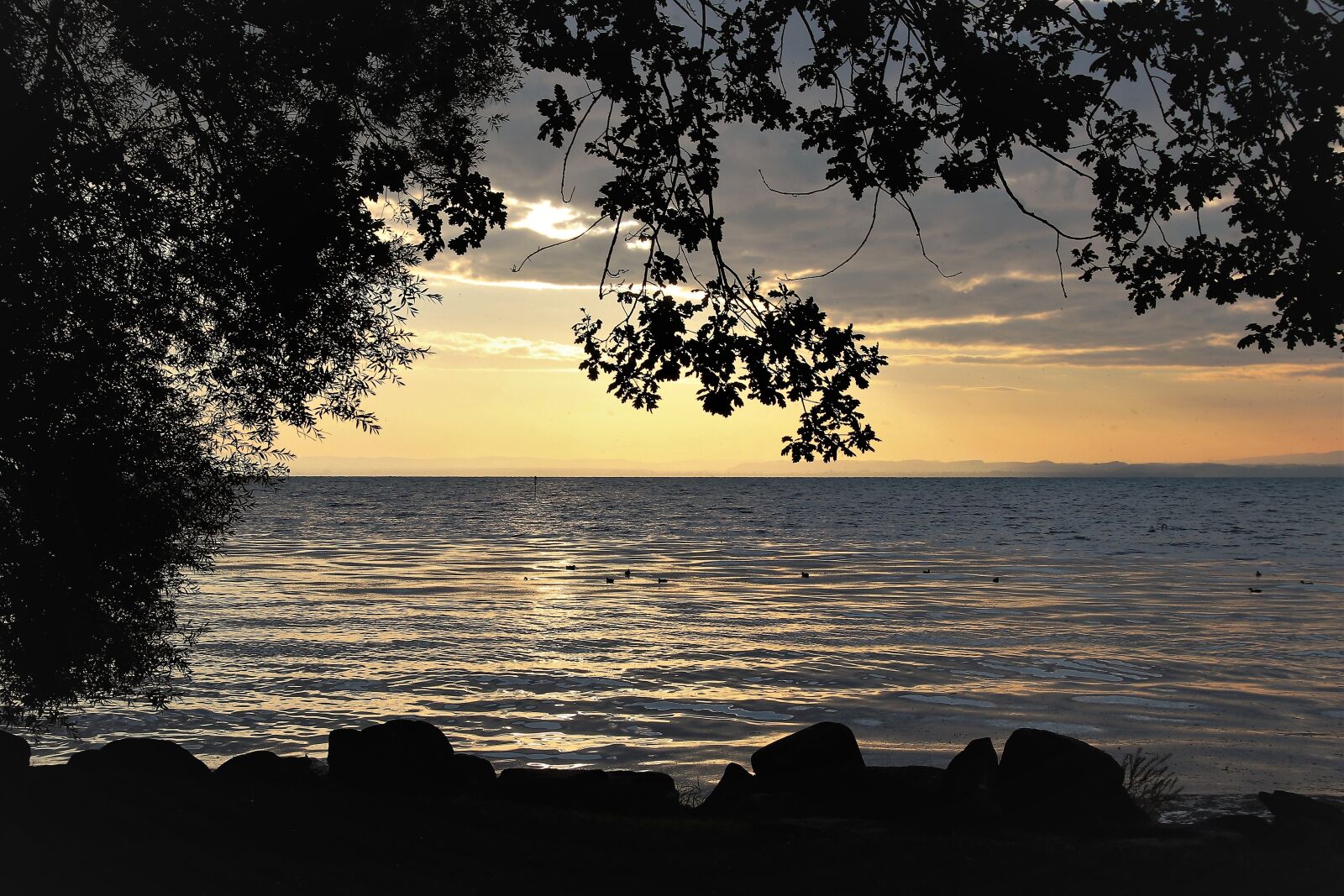 Canon EOS 80D sample photo. Morning, lake, beach photography