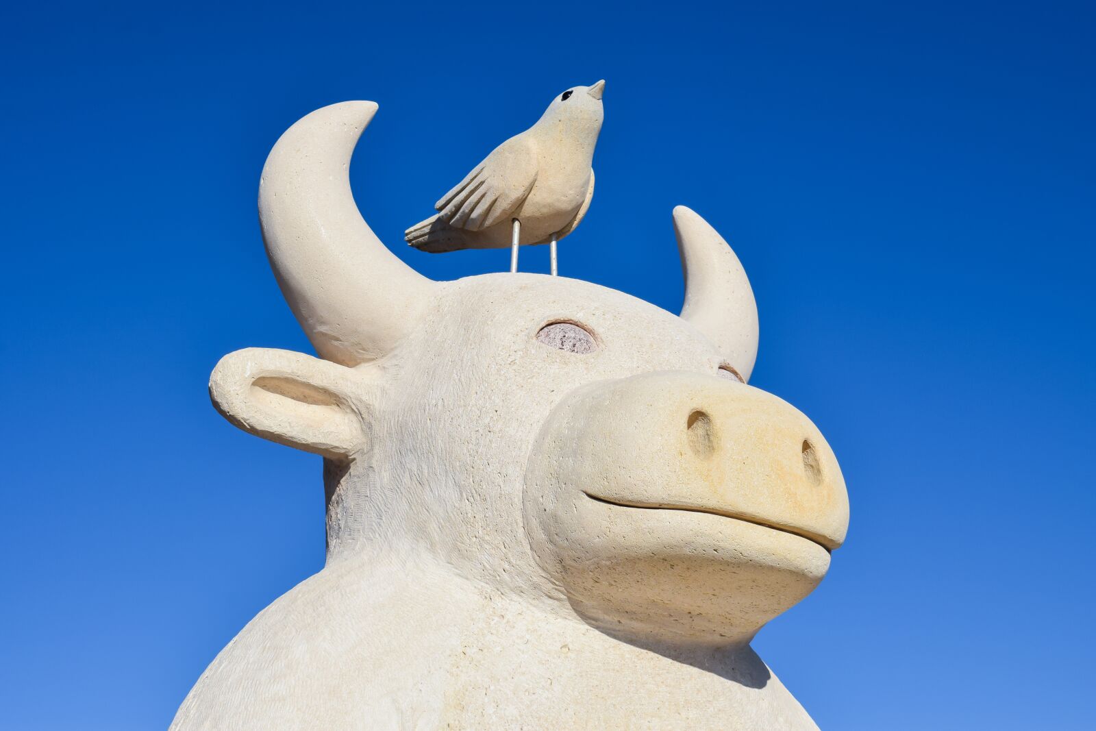 Nikon D3300 sample photo. The minotaur and the photography